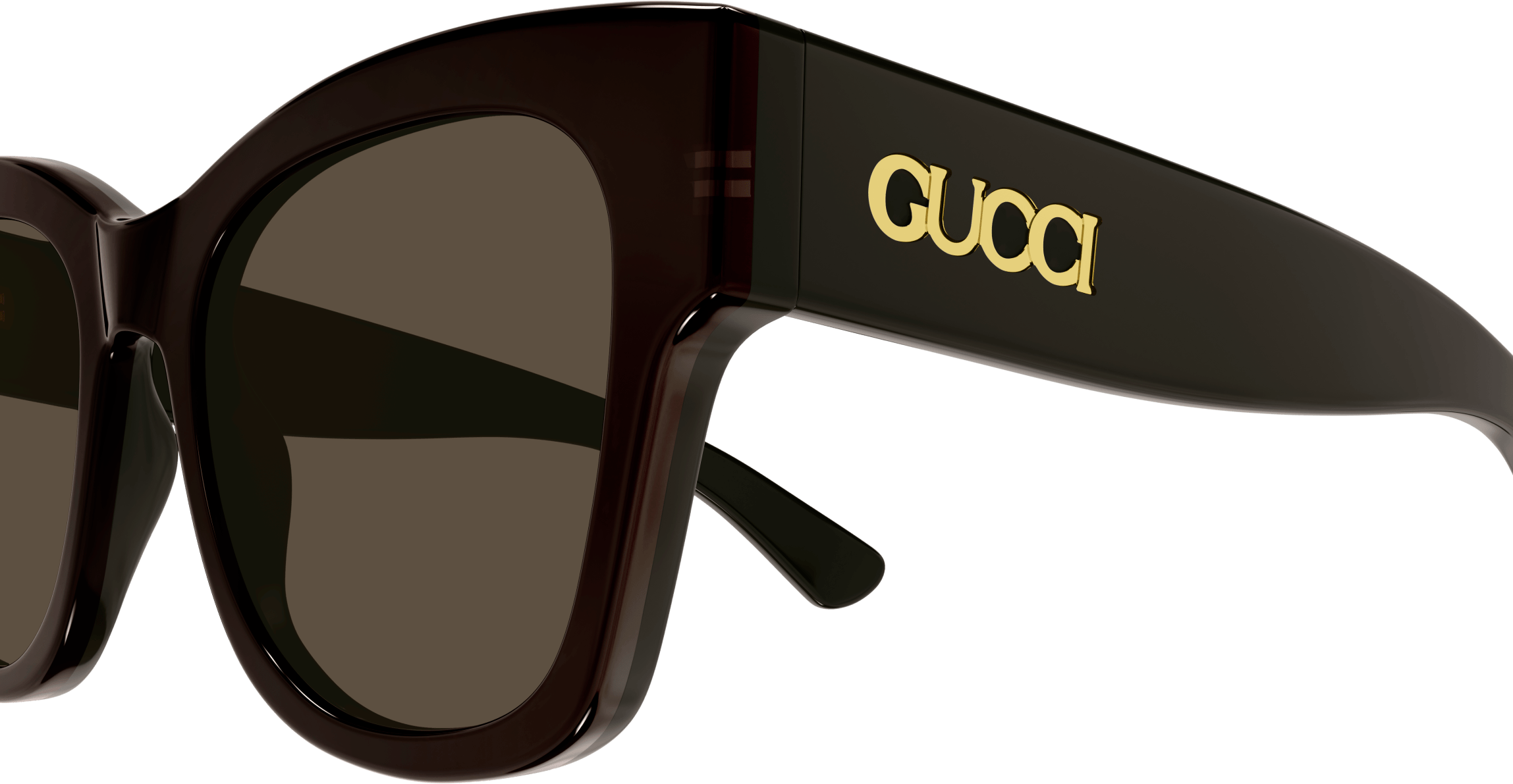 Color_GG1789S-004 - BROWN - BROWN