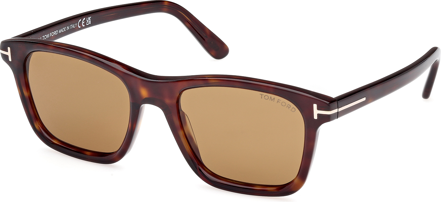 Color_FT1179_5452E - Dark Havana / Dark Havana