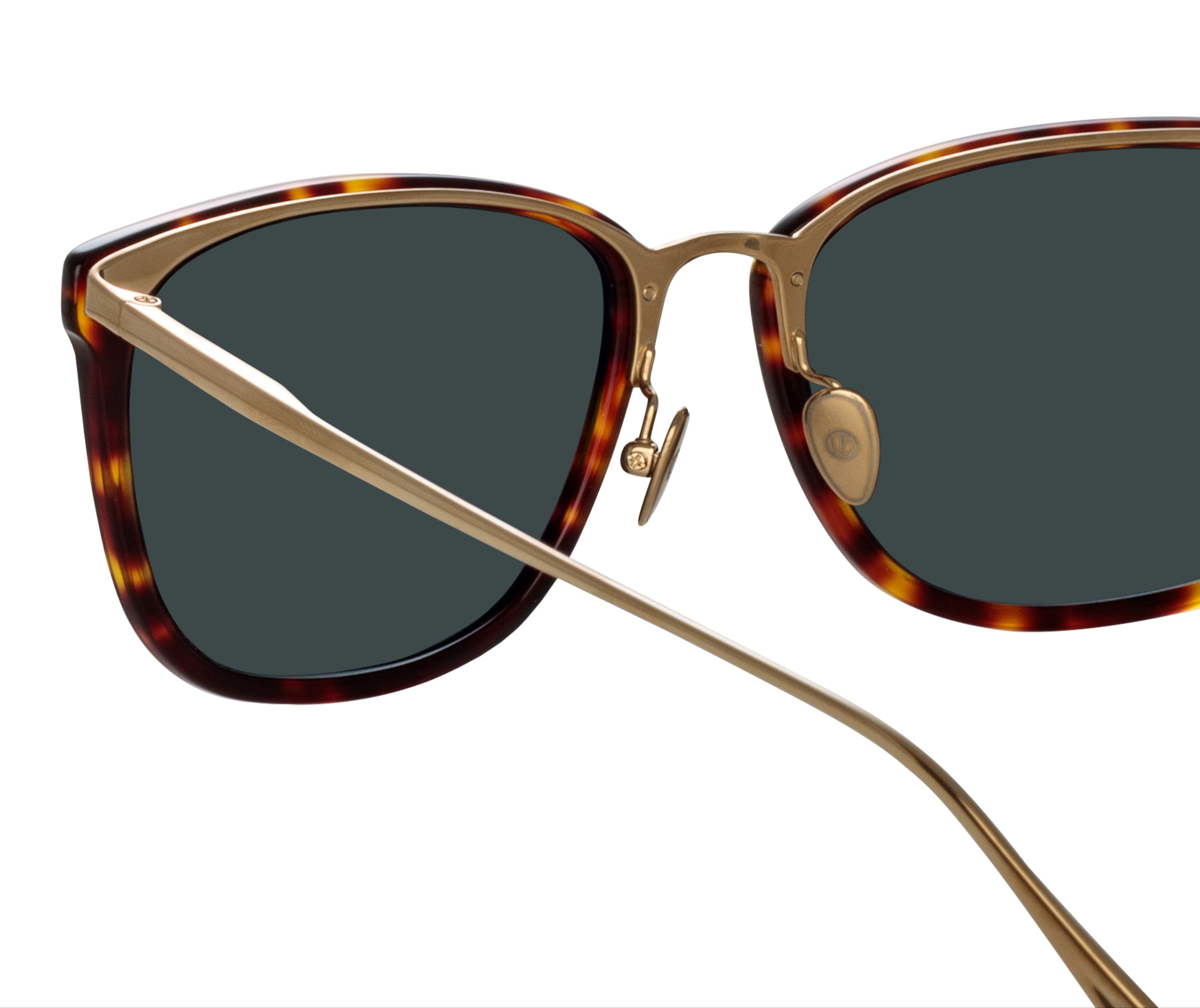 Color_LFL1457C2SUN - Cassin D-Frame Sunglasses in Tortoiseshell