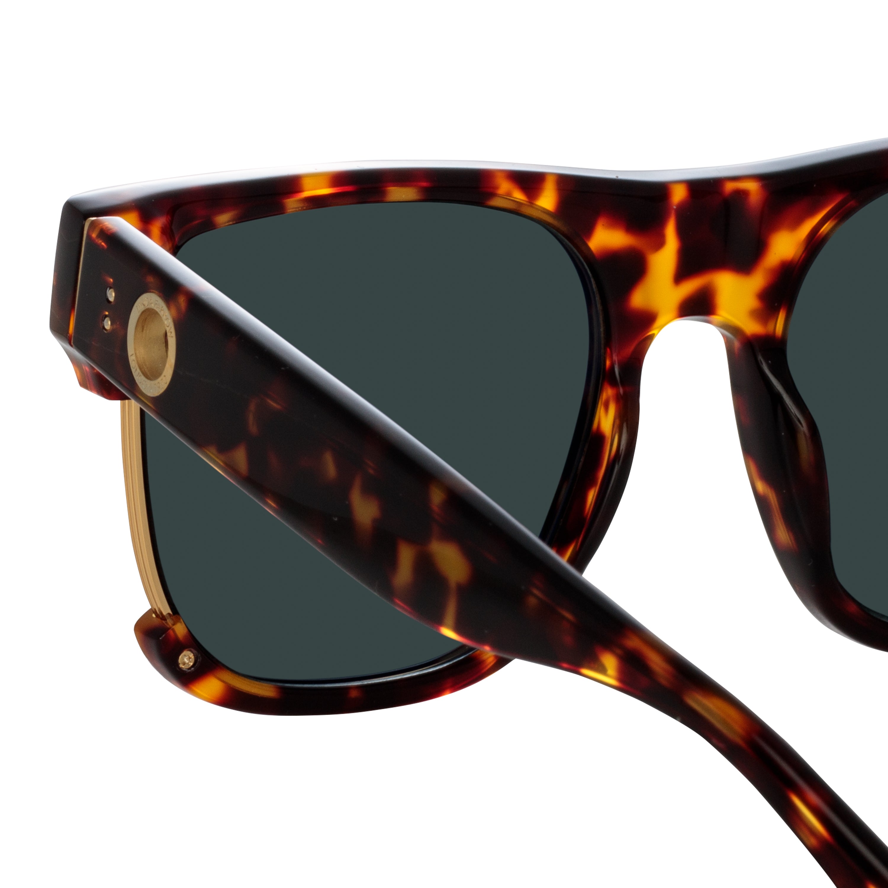 Color_LFL1438C2SUN - Lomas D-Frame Sunglasses in Tortoiseshell