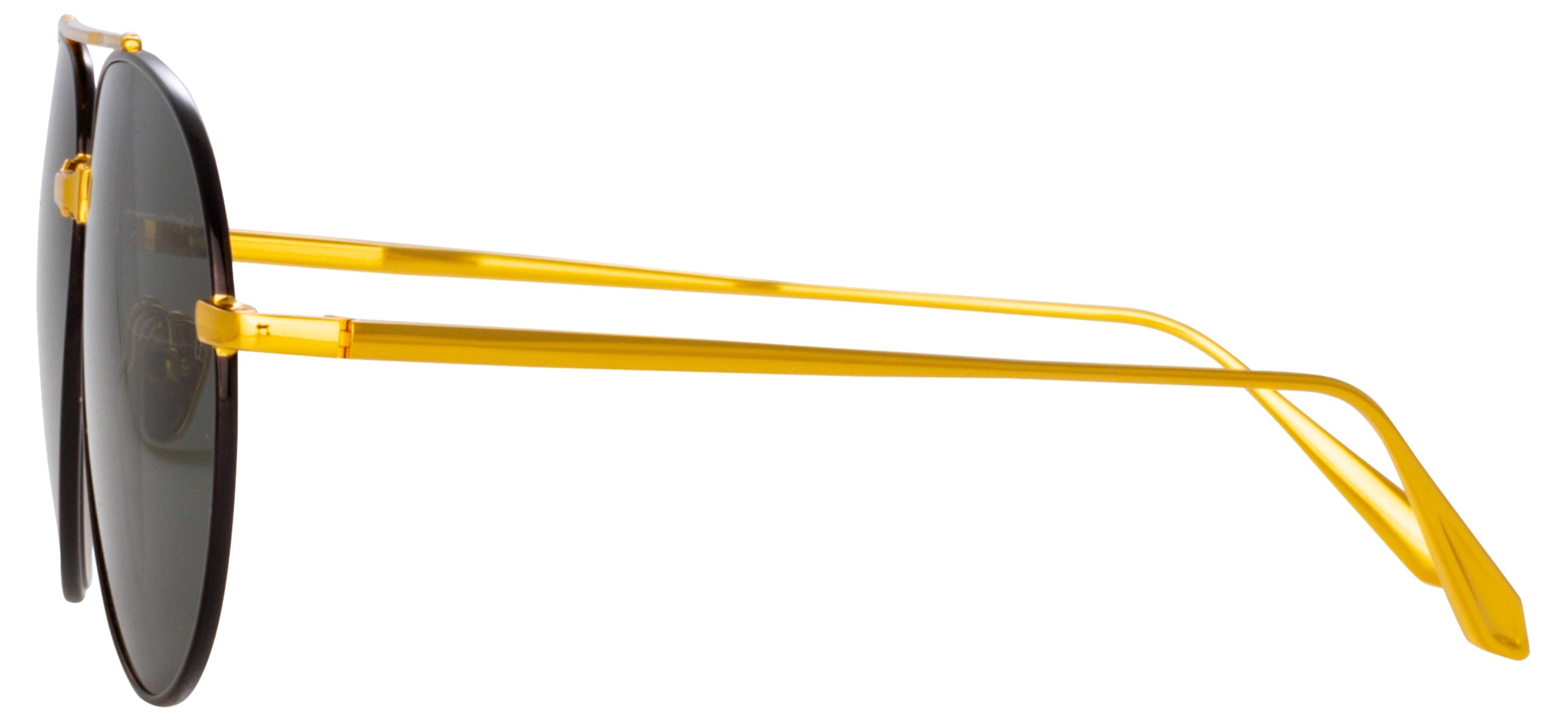 Color_LFL1421C1SUN - Marcelo Aviator Sunglasses in Yellow Gold / Nickel