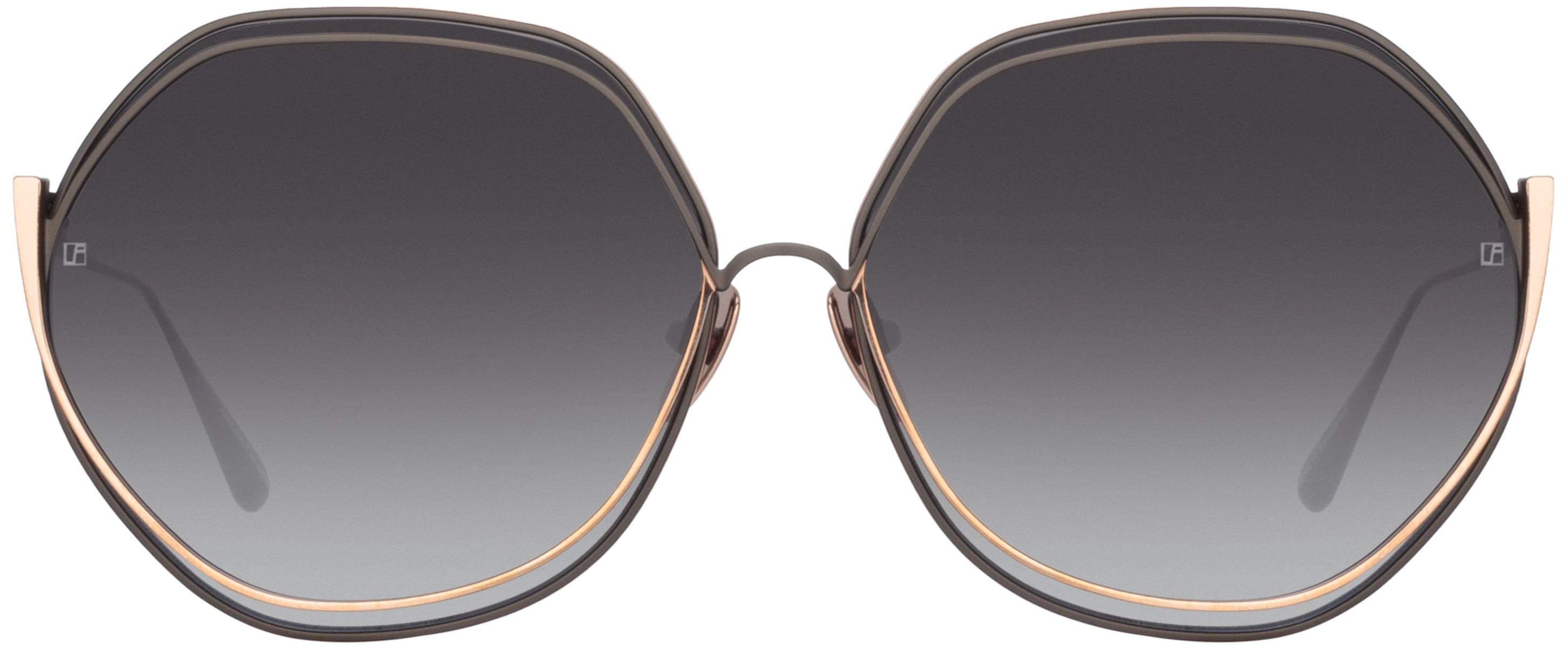 Color_LFL1355C1SUN - Aspen Hexagon Sunglasses in Nickel