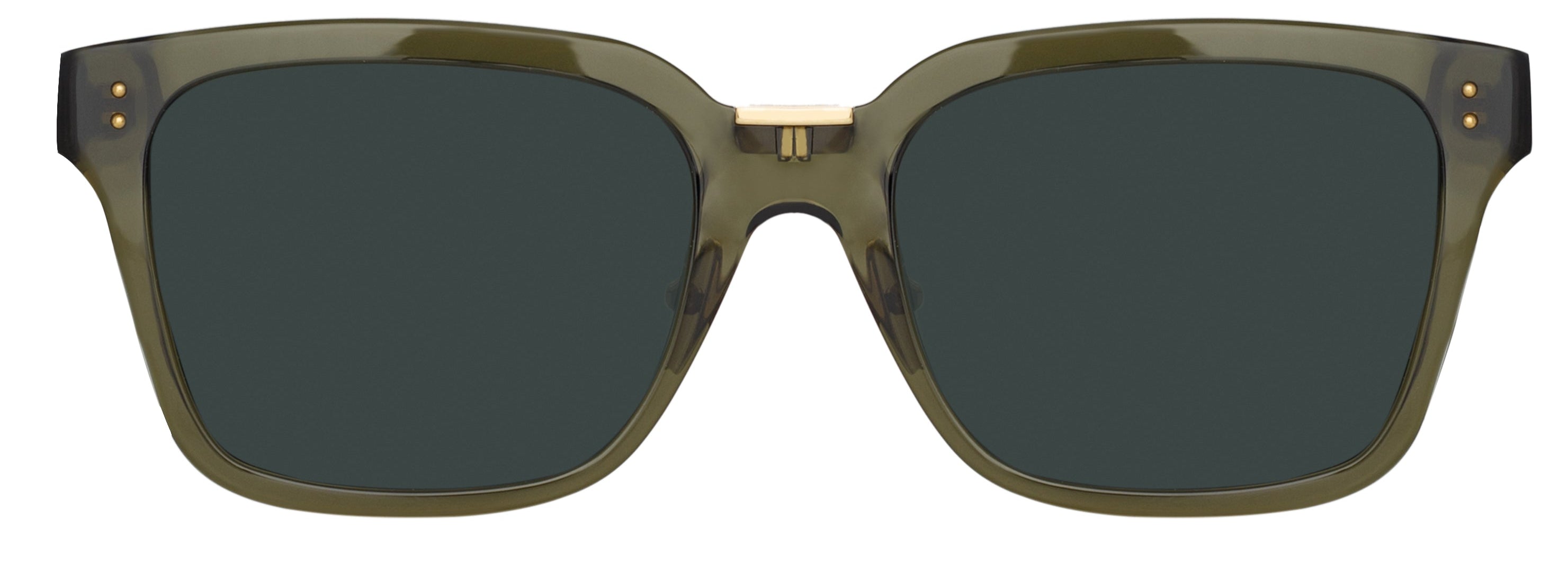 Color_LFL1322C6SUN - Desiree D-Frame Sunglasses in Green