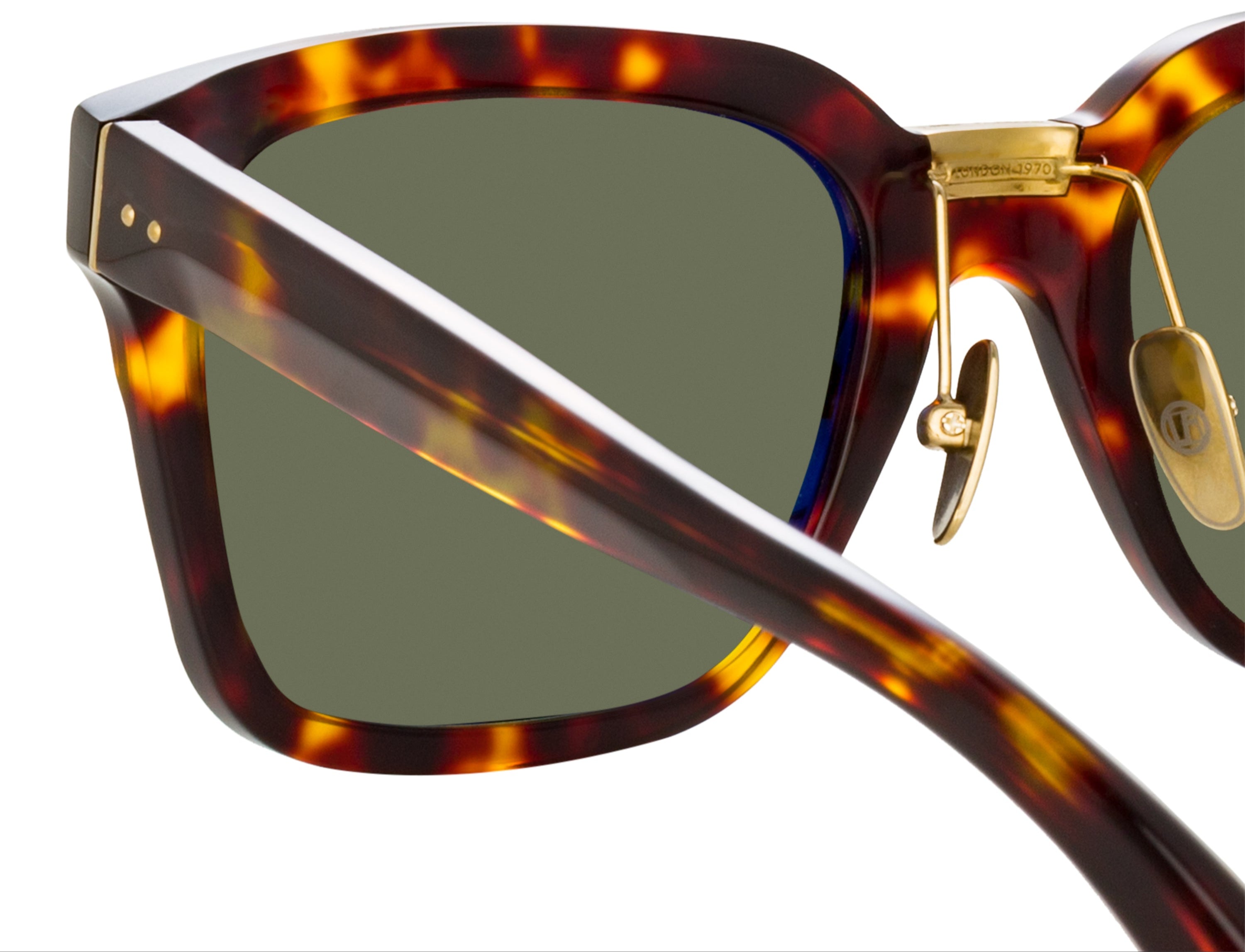 Color_LFL1322C5SUN - Desiree D-Frame Sunglasses in Tortoiseshell