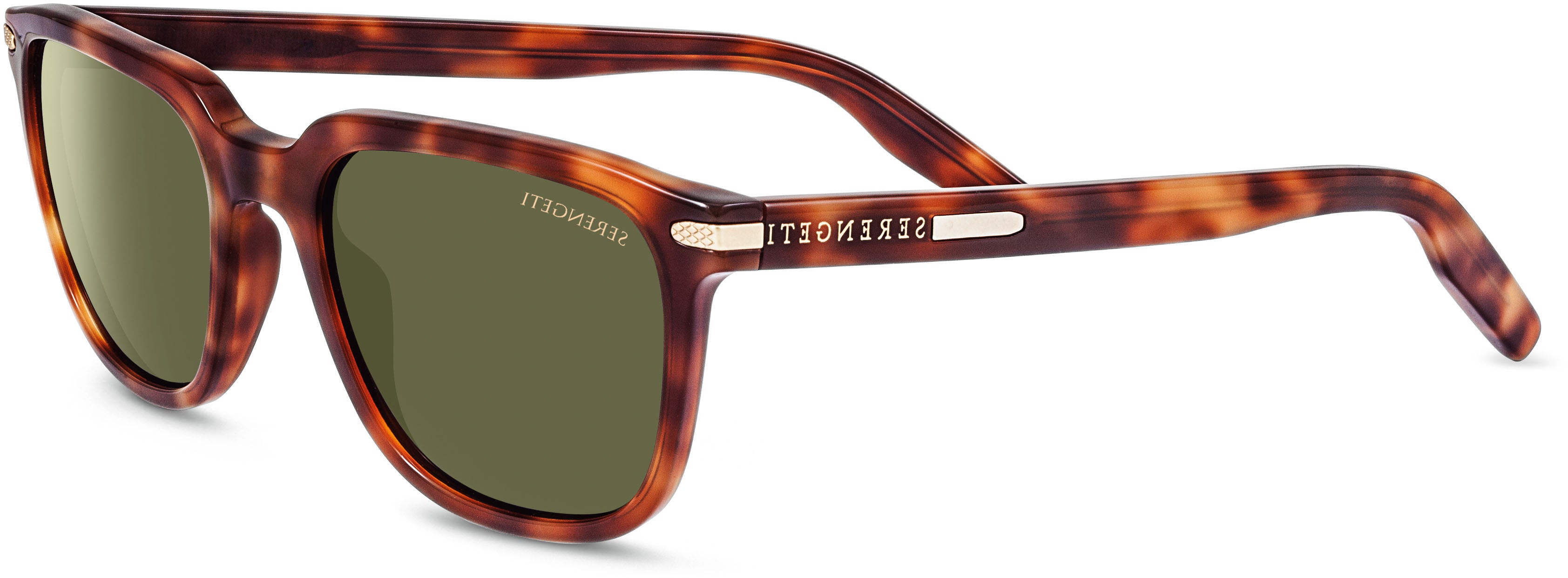 Color_Butter Rum Tortoise - Polarized 555nm ( 8473 )