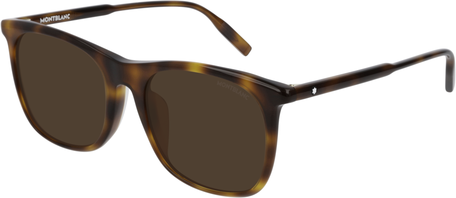 Color_MB0008SA-002 - HAVANA - BROWN