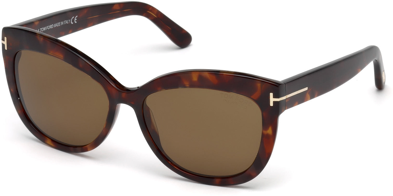 Color_54H - Red Havana / Brown Polarized