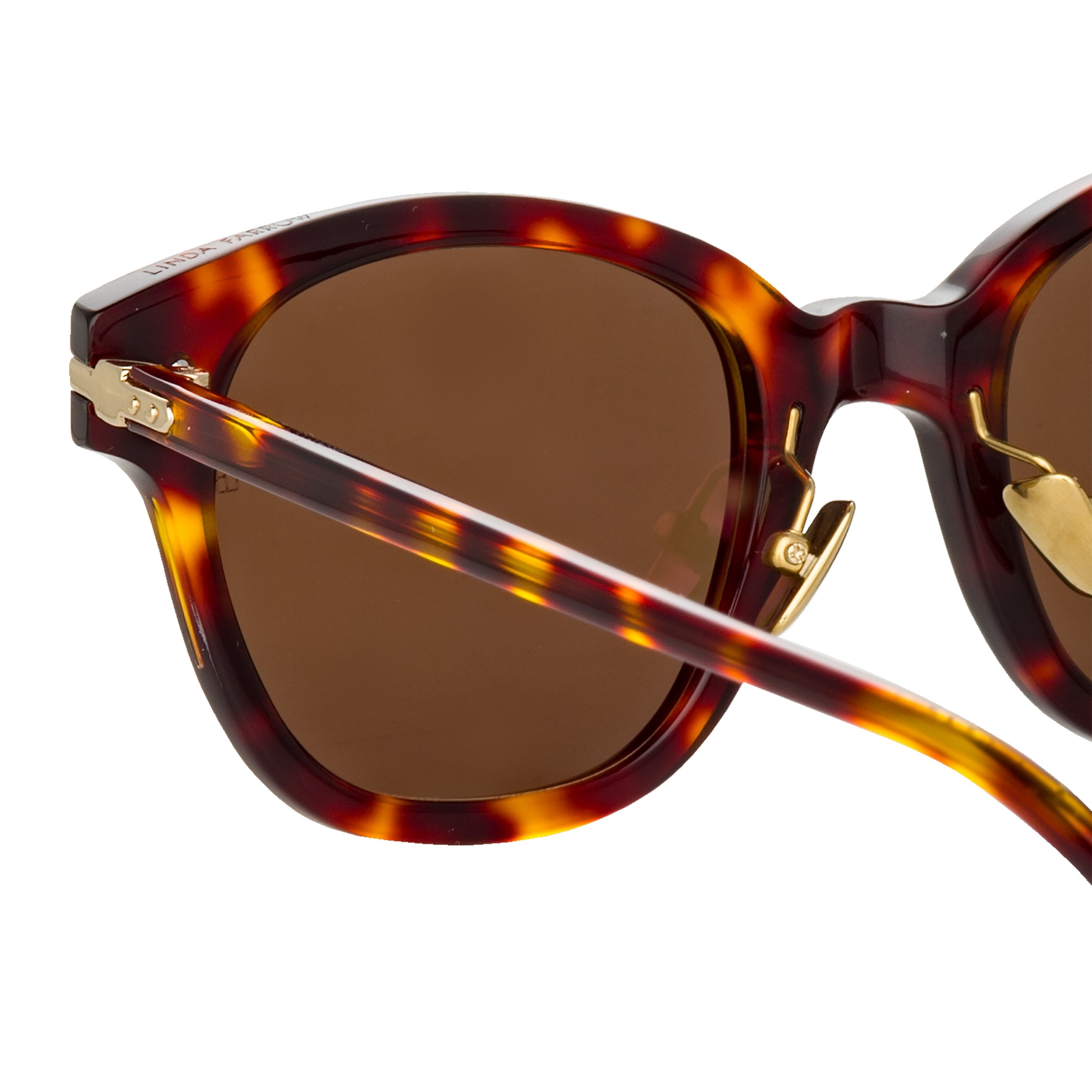 Color_LF42C5SUN - Atkins D-Frame Sunglasses in Tortoiseshell