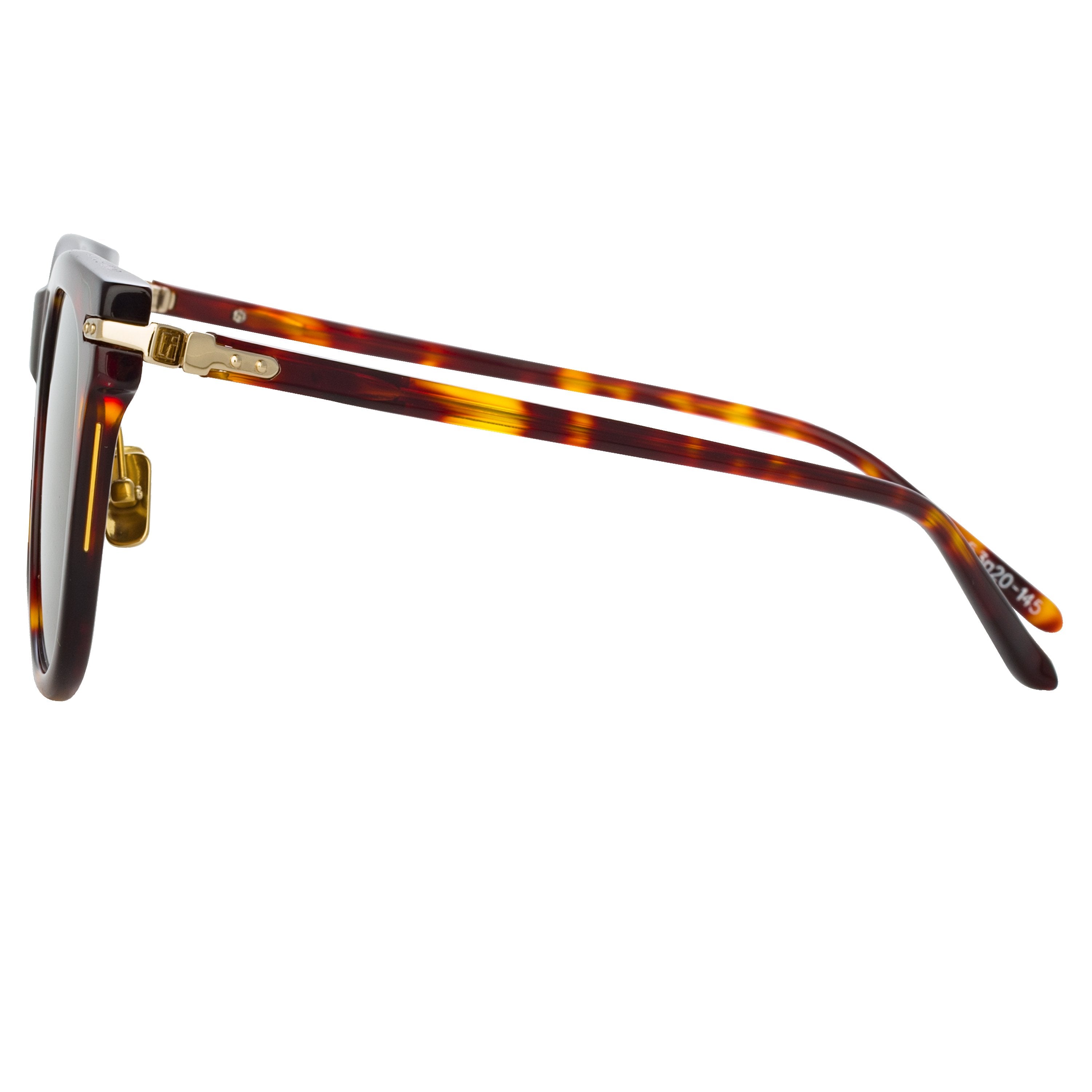 Color_LF43C5SUN - Chrysler D-Frame Sunglasses in Tortoiseshell