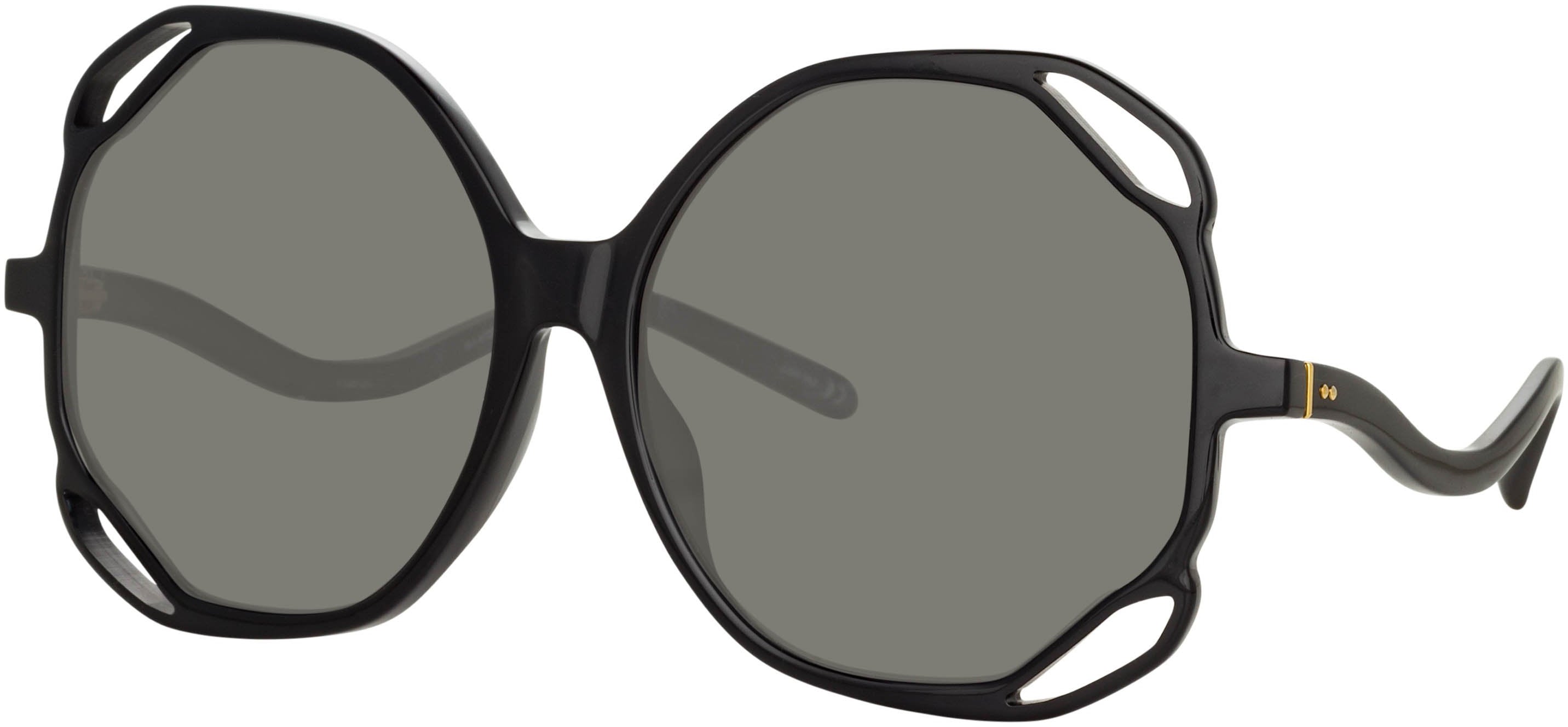 Color_LFL1067C1SUN - Jerry Oversized Sunglasses in Black