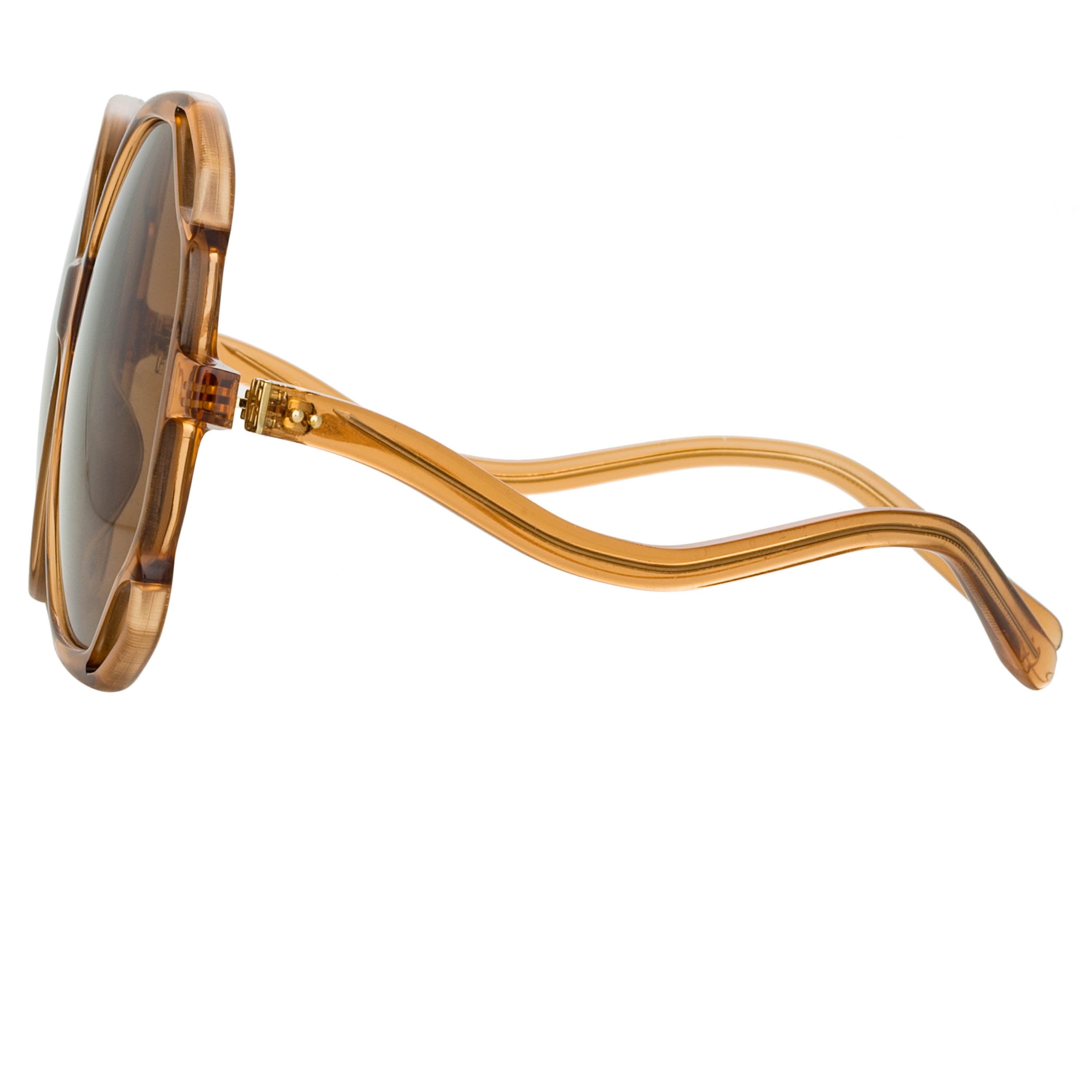 Color_LFL1067C4SUN - Jerry Oversized Sunglasses in Tobacco