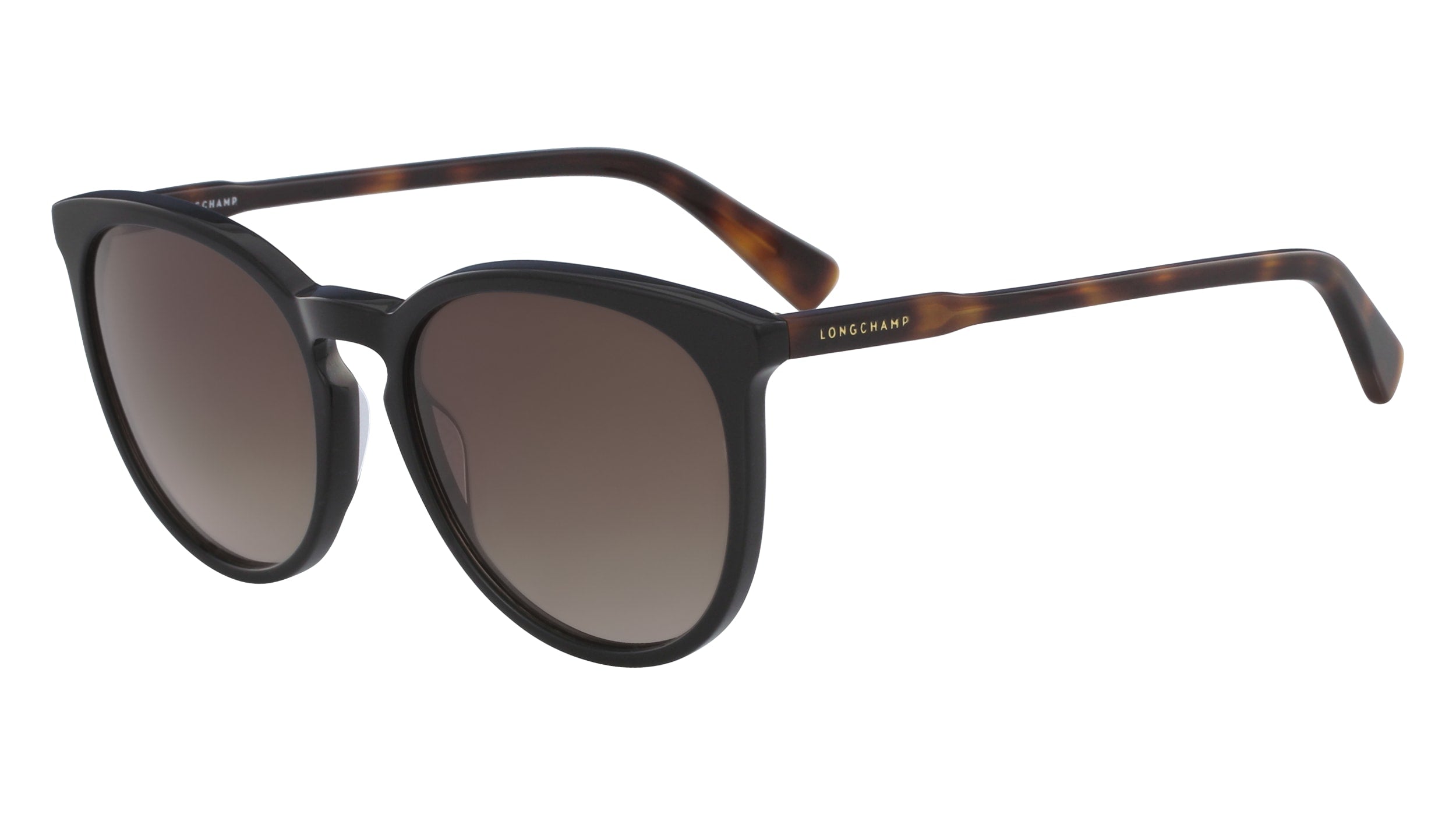 Color_010 - BLACK/HAVANA