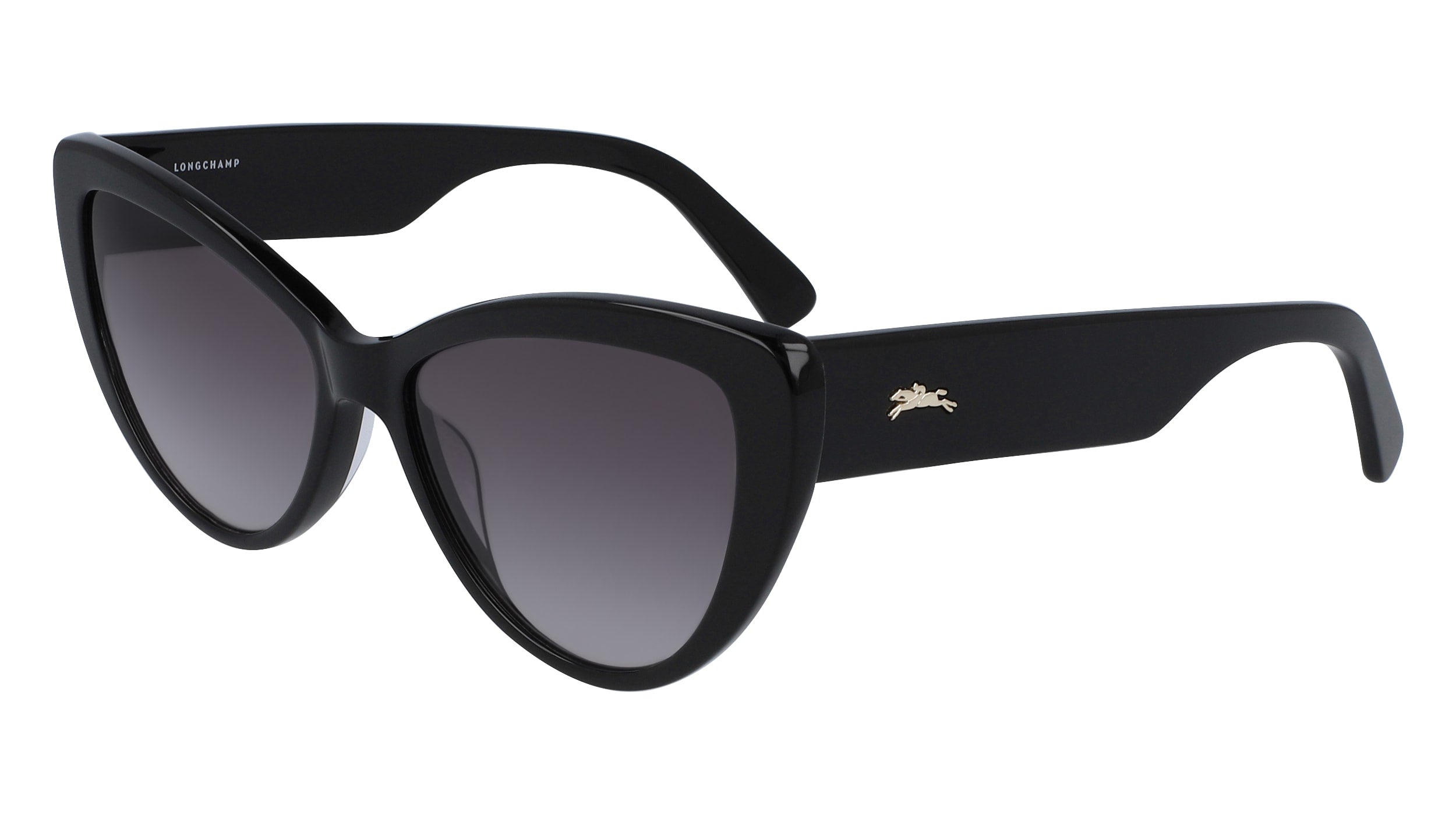 Color_005 - EBONY