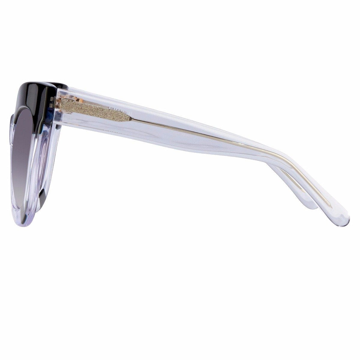 Color_EDM20C1SUN - Erdem 20 C1 Oversized Sunglasses