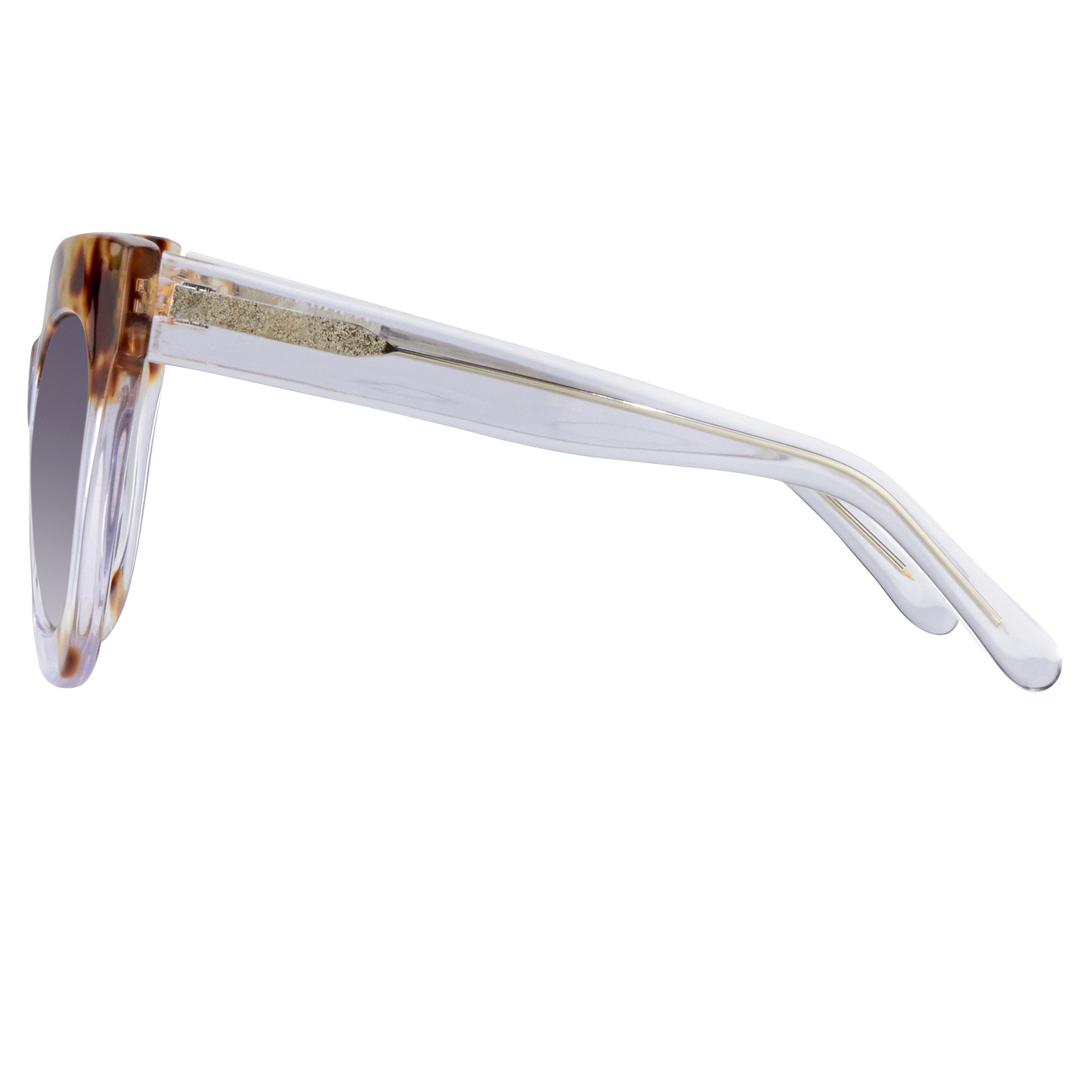 Color_EDM20C3SUN - Erdem 20 C3 Oversized Sunglasses