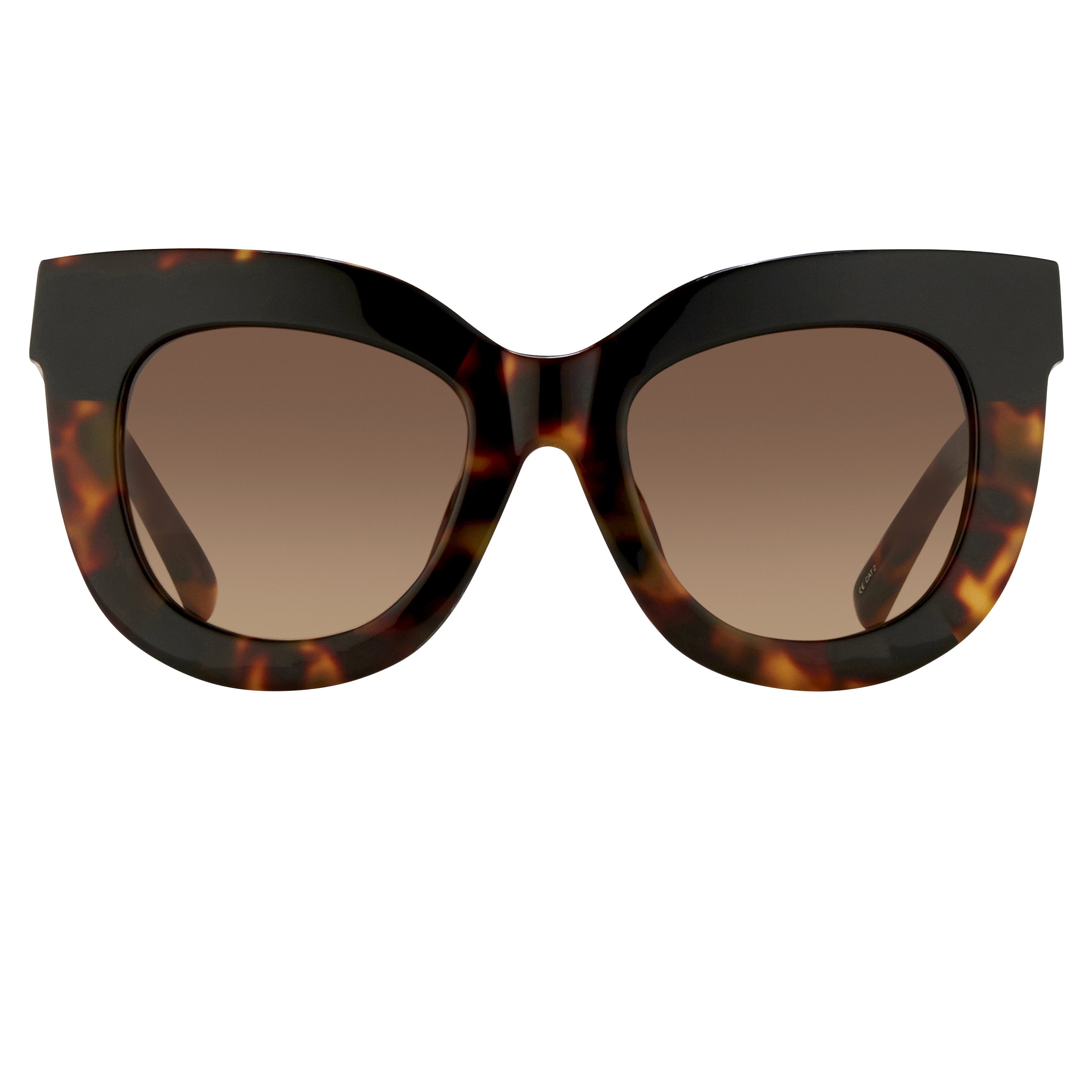 Color_EDM20C4SUN - Erdem 20 C4 Oversized Sunglasses