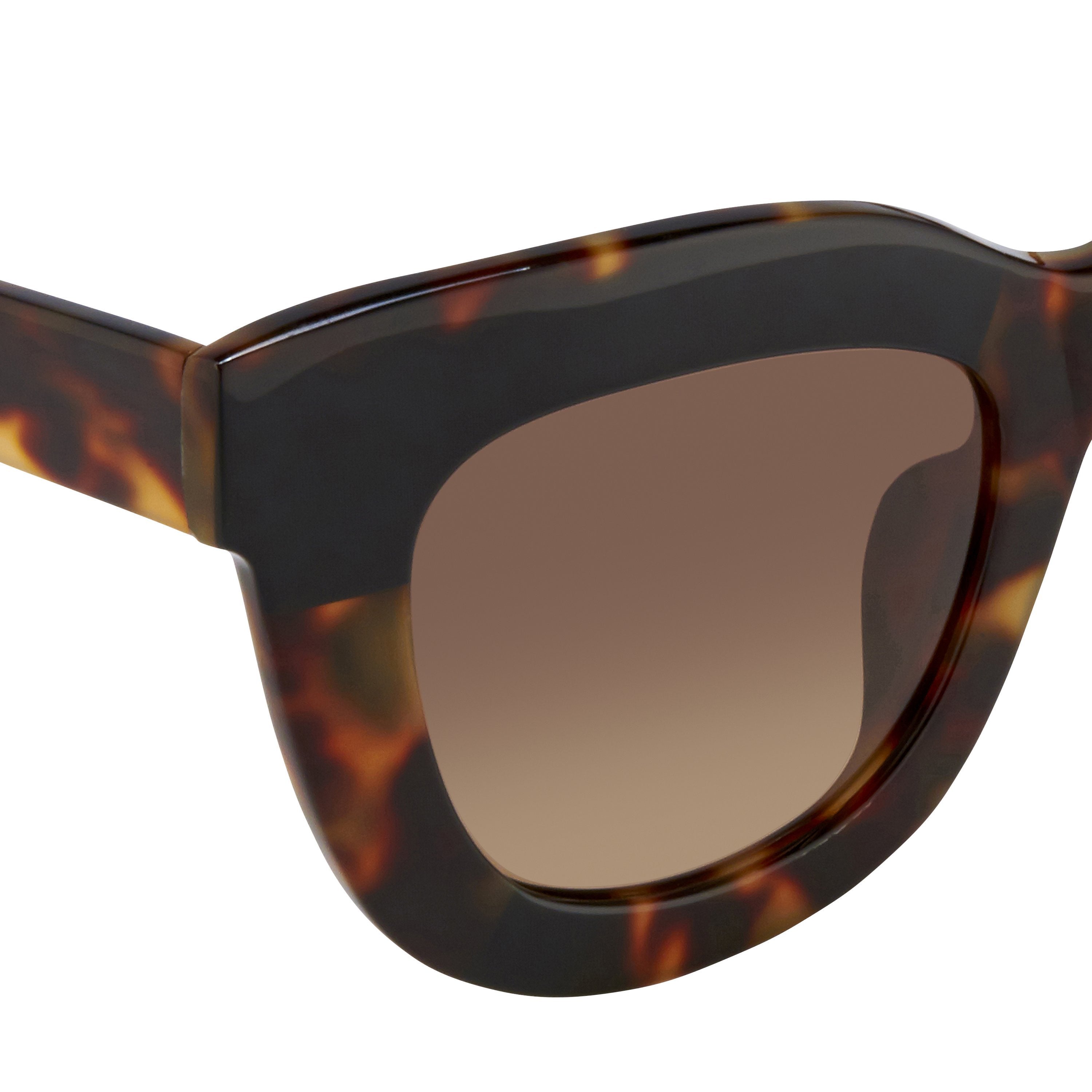 Color_EDM20C4SUN - Erdem 20 C4 Oversized Sunglasses