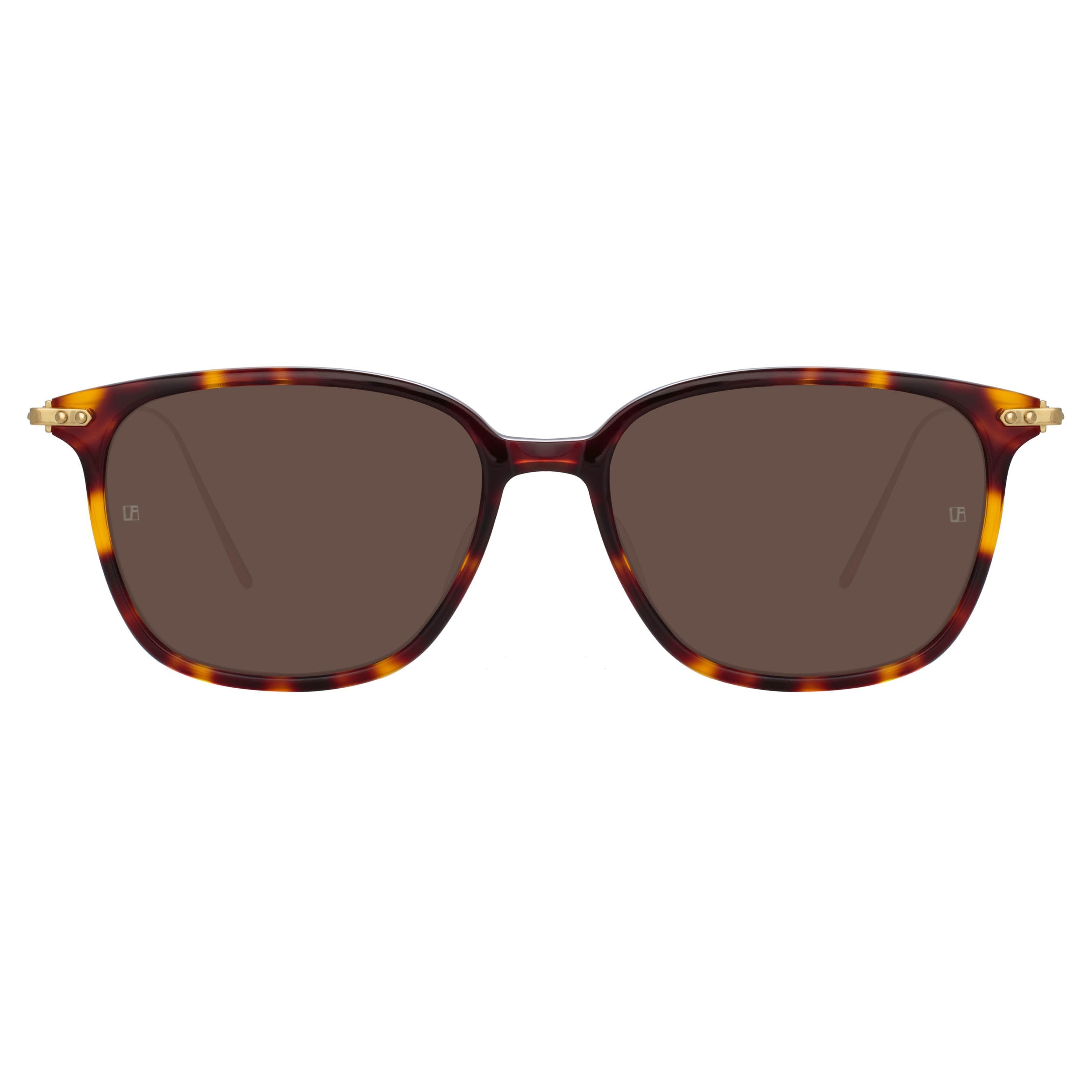 Color_LF53C6SUN - Coffey Rectangular Sunglasses in Tortoiseshell