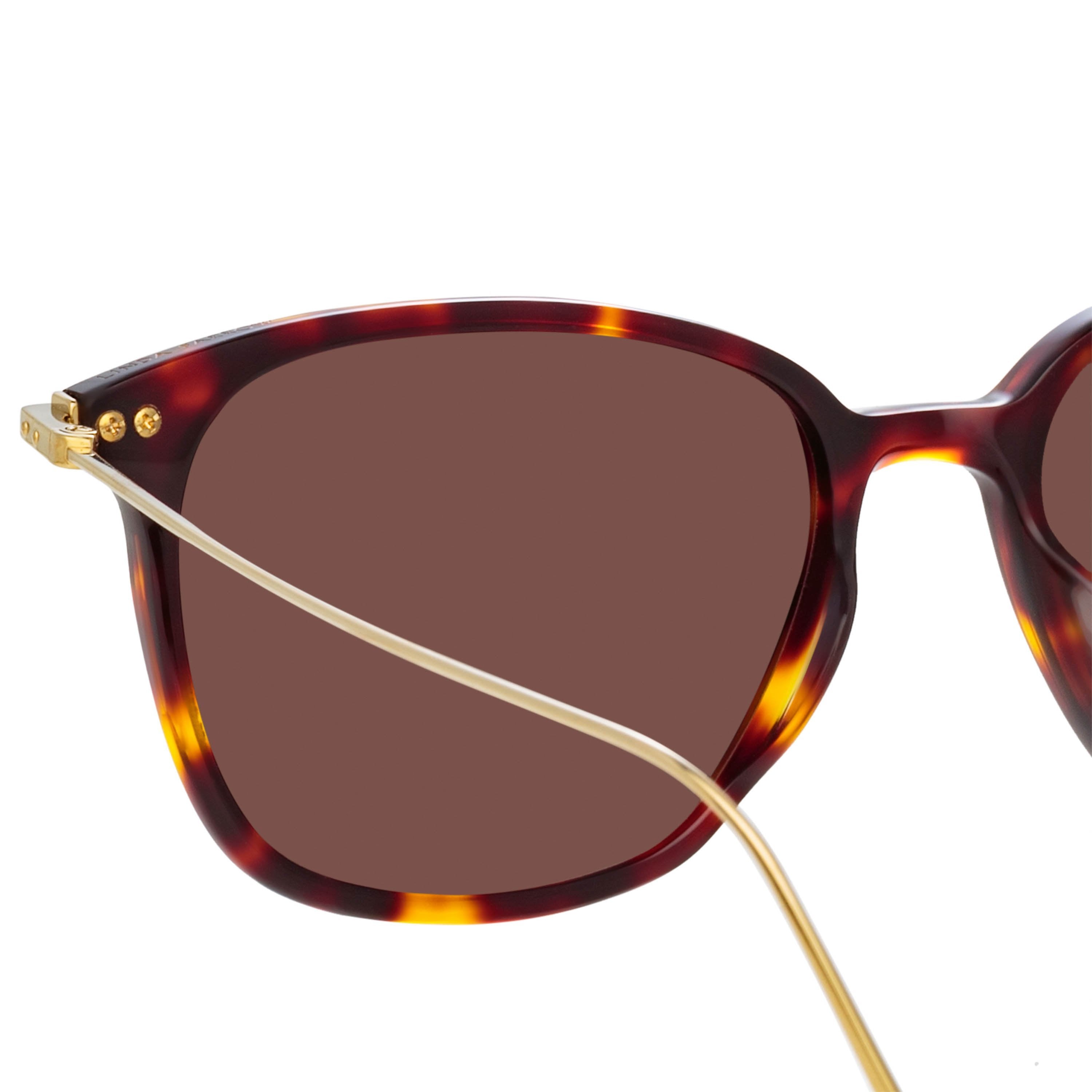 Color_LF53C6SUN - Coffey Rectangular Sunglasses in Tortoiseshell