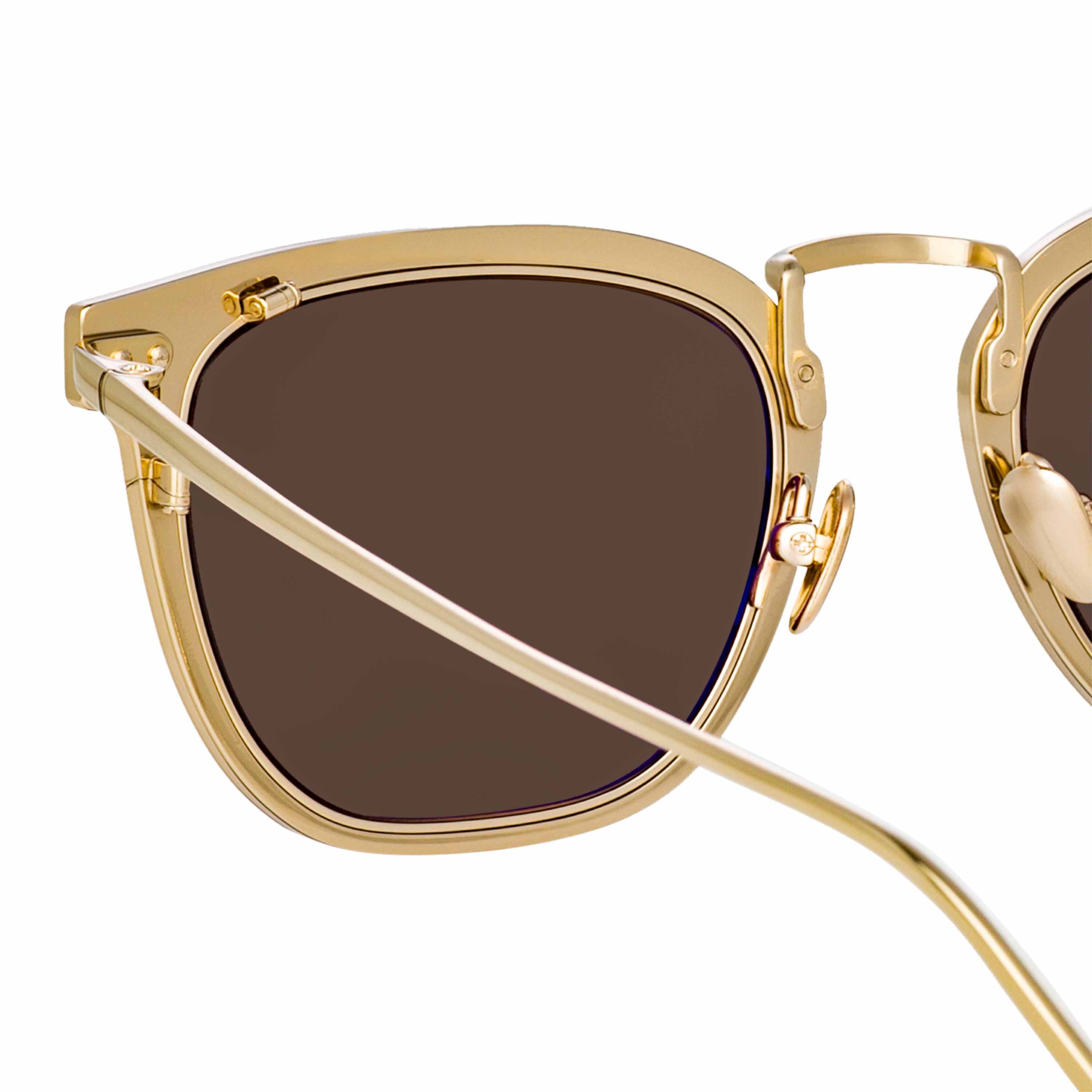 Color_LFL1114C3SUN - Carson D-Frame Sunglasses in Light Gold and Brown