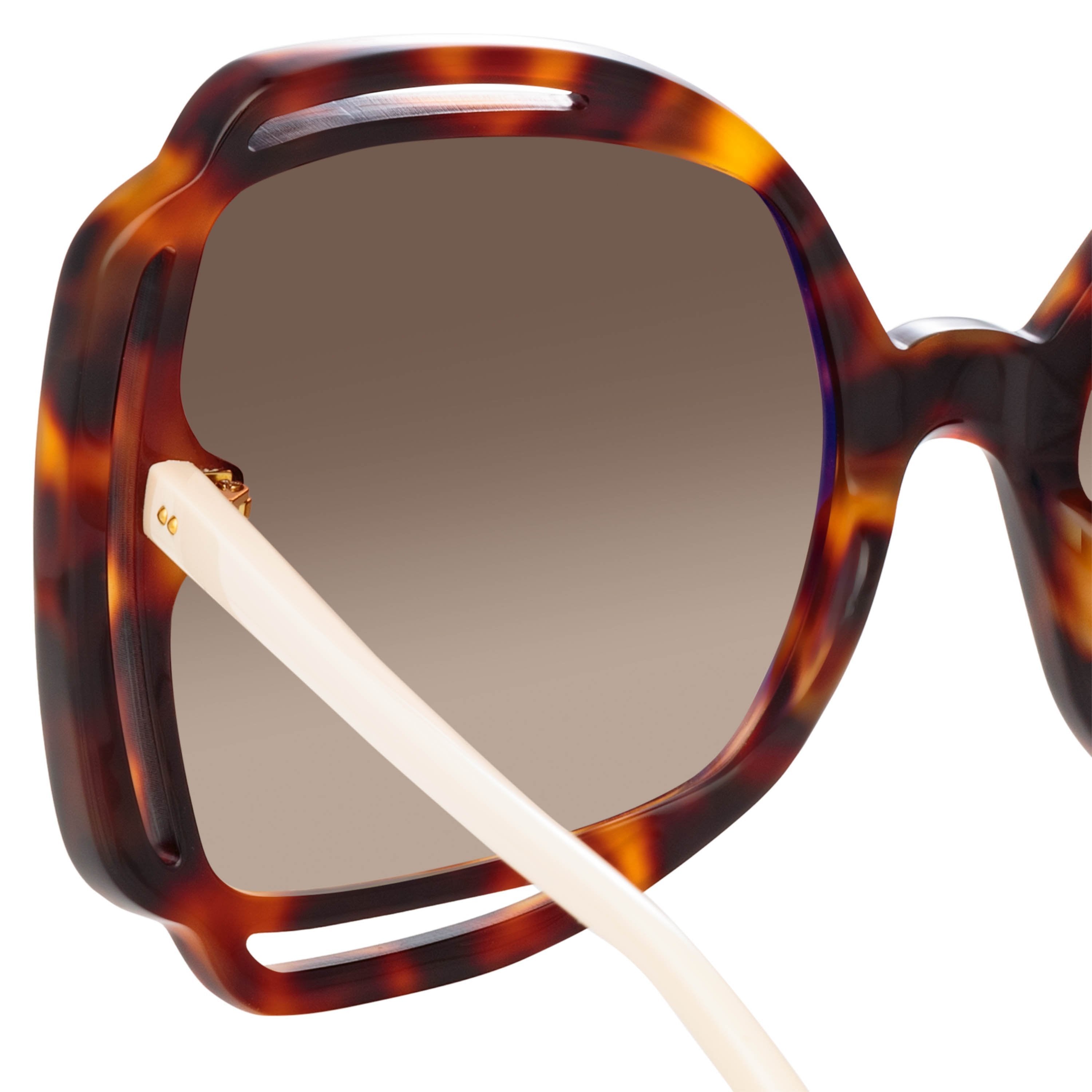 Color_LFL1173C2SUN - Valentina Squared Sunglasses in Tortoiseshell