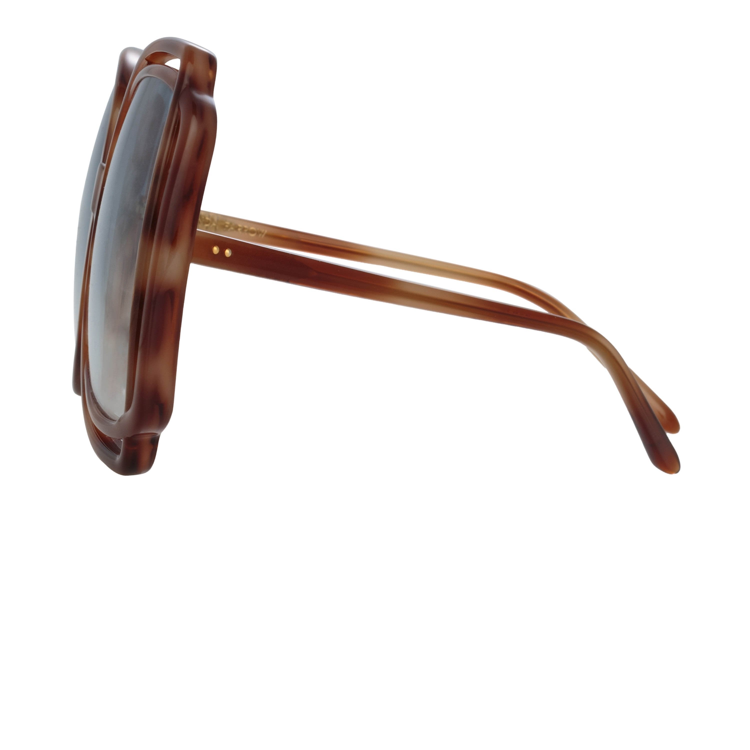 Color_LFL1173C3SUN - Valentina Squared Sunglasses in Horn