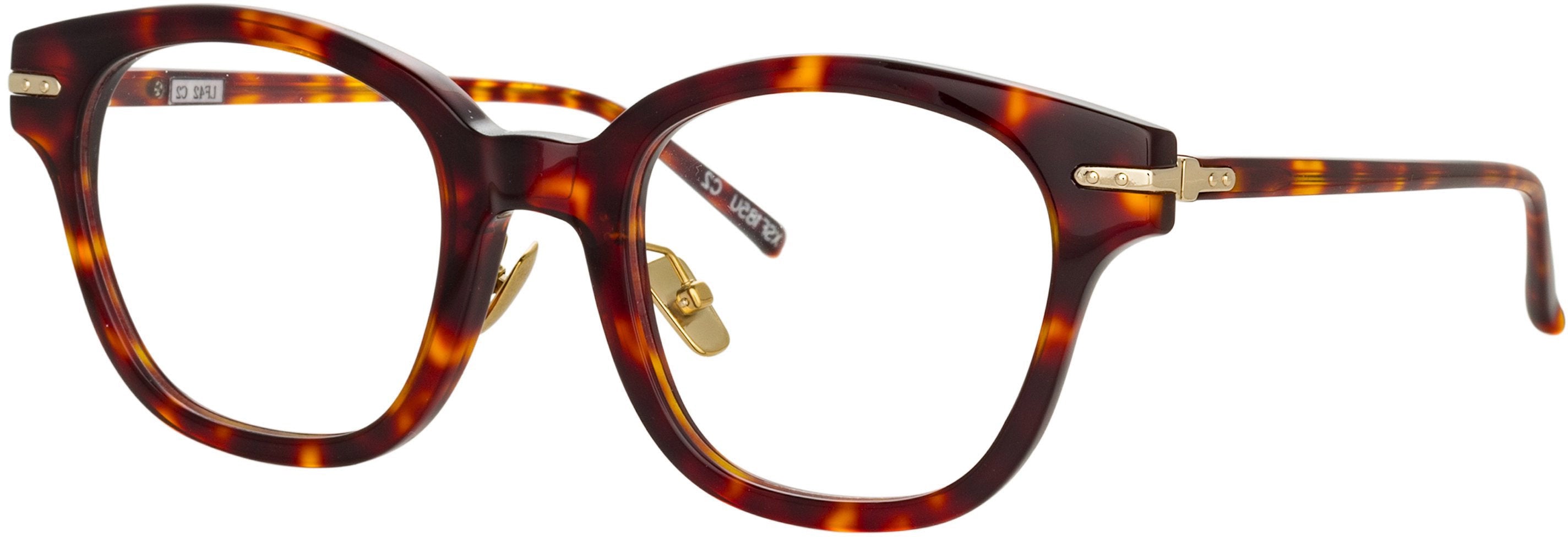 Color_LF42C2OPT - Atkins Optical D-Frame in Tortoiseshell