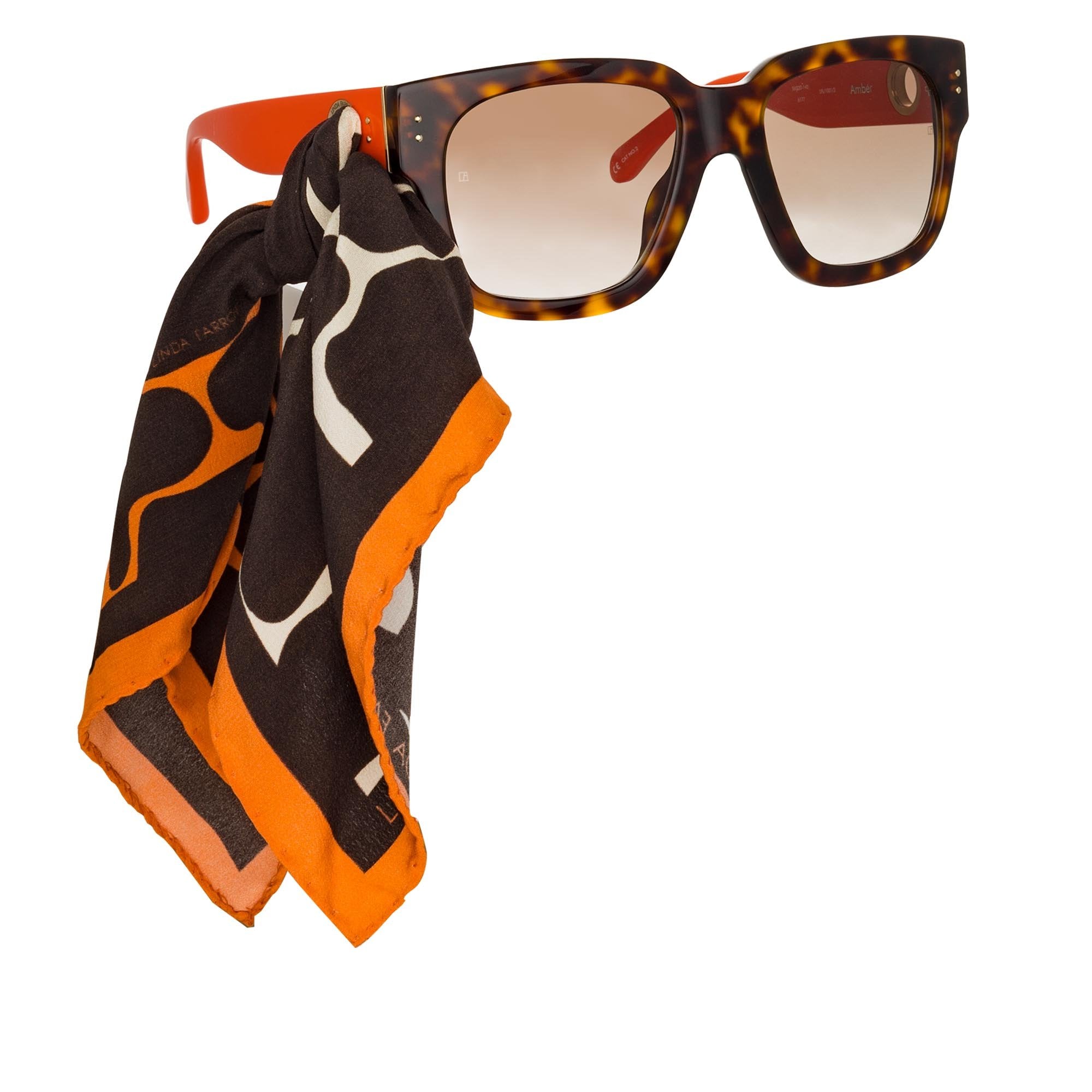 Color_LFL1001C3SUN - Amber D-Frame Sunglasses in Tortoiseshell