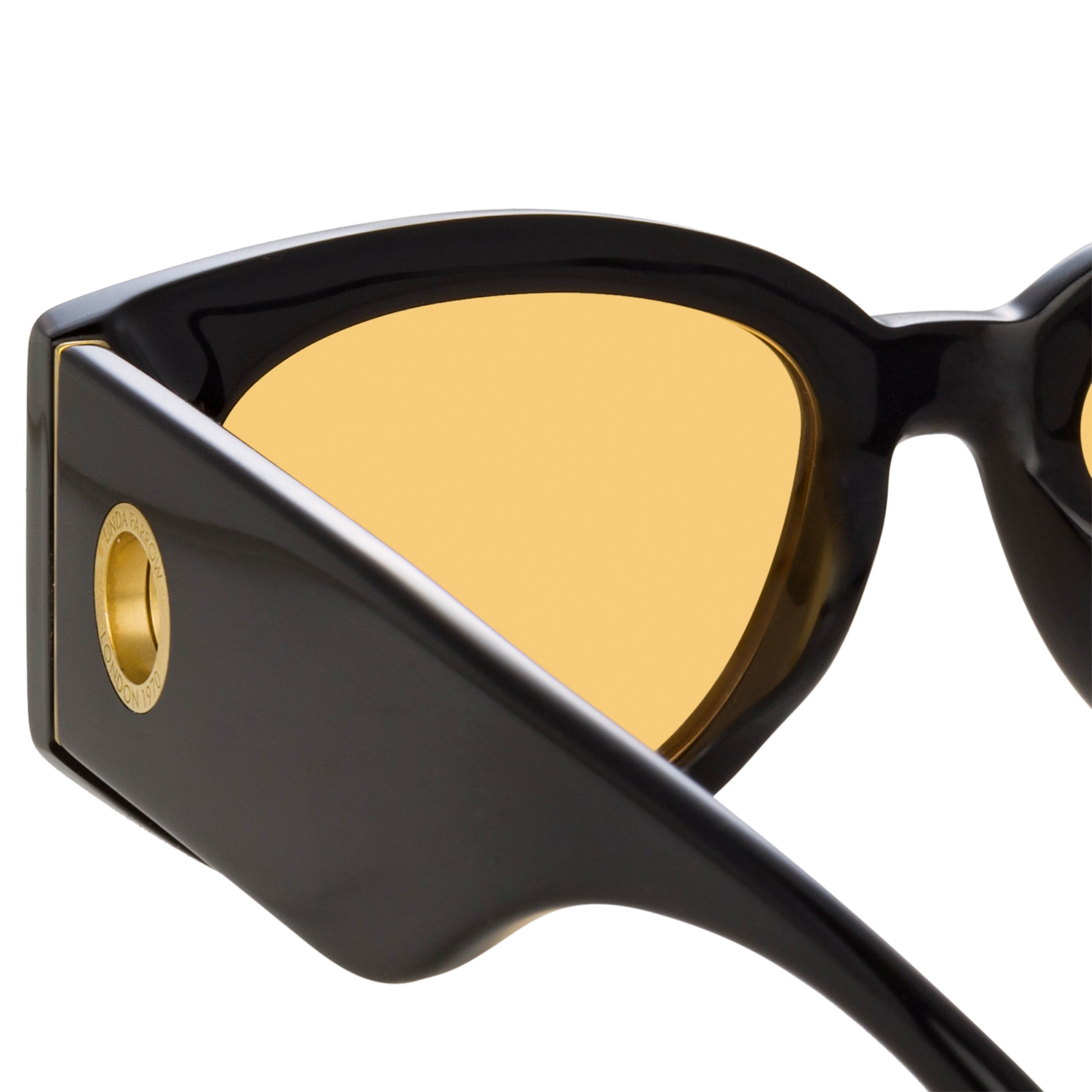 Color_LFL1059C11SUN - Debbie D-Frame Sunglasses in Black and Orange