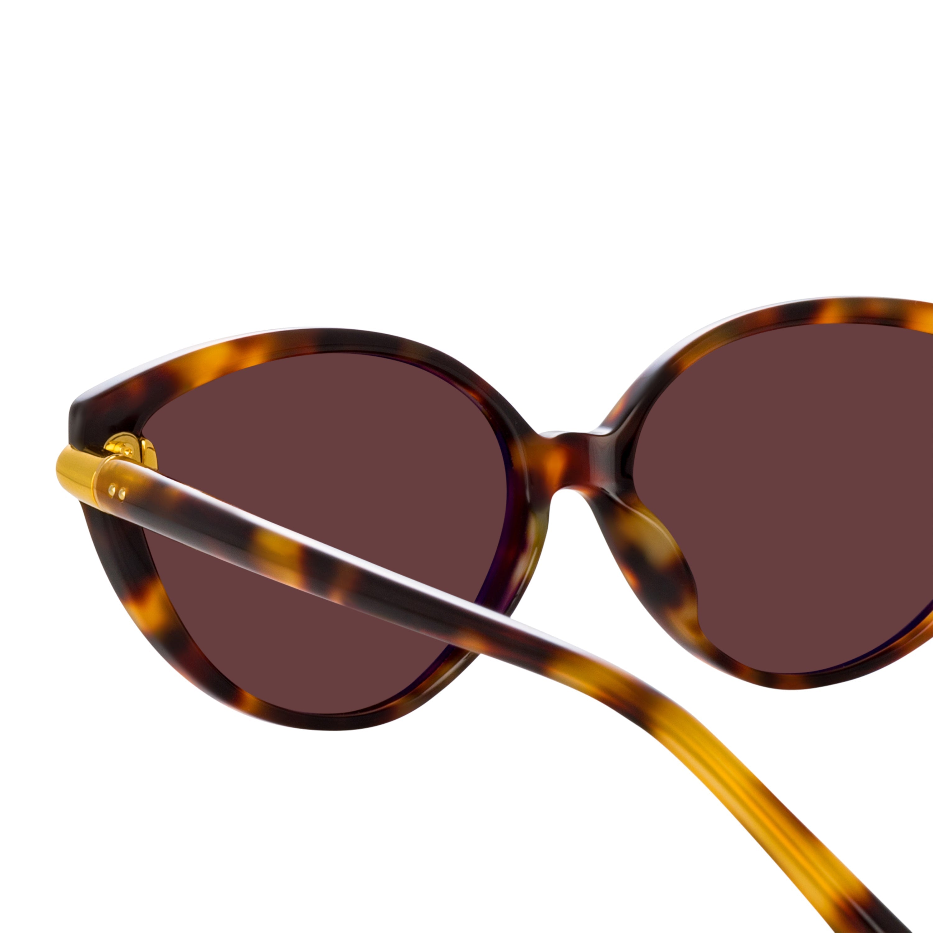 Color_LFL1211C2SUN - Palm Cat Eye Sunglasses in Tortoiseshell