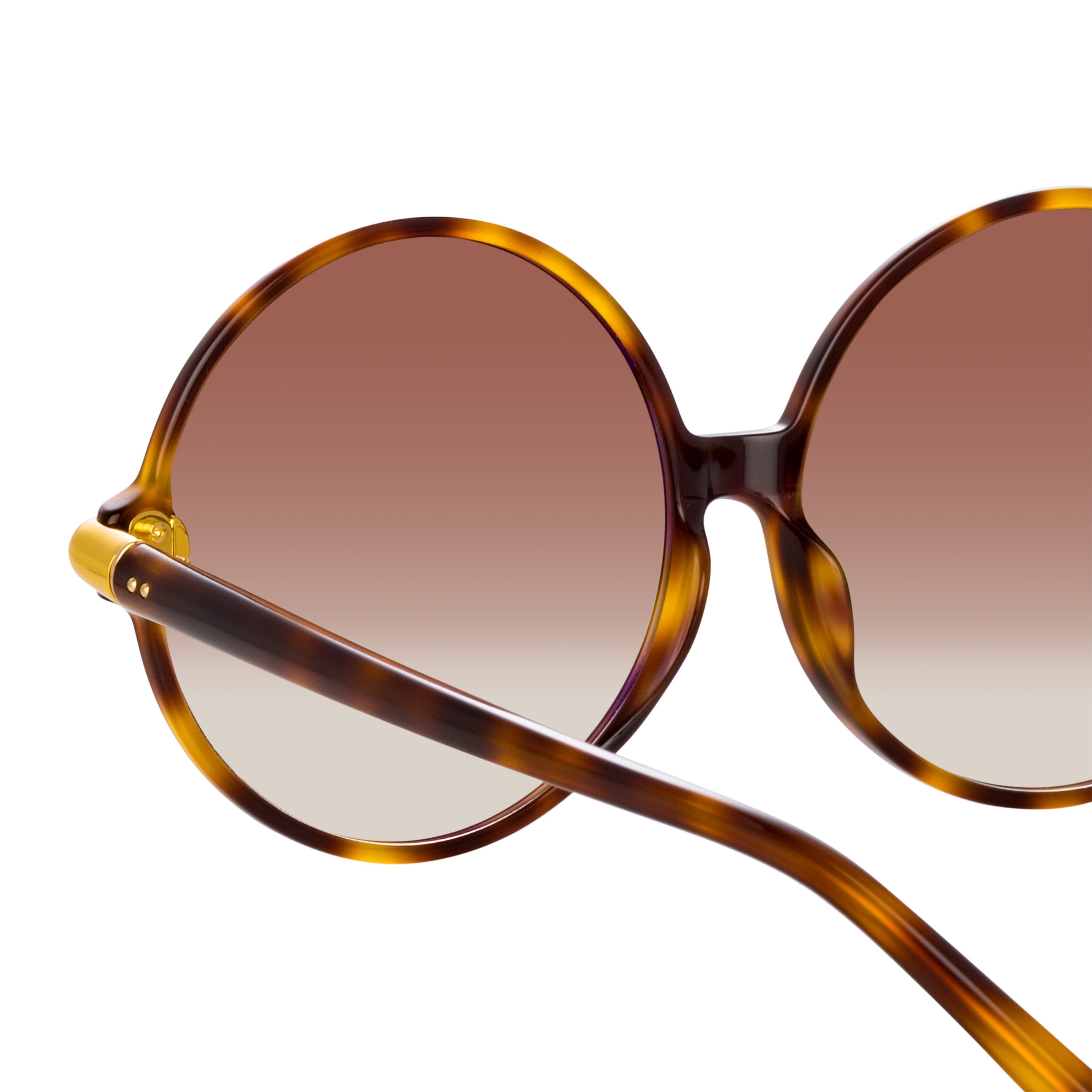 Color_LFL1259C2SUN - Victoria Round Sunglasses in Tortoiseshell