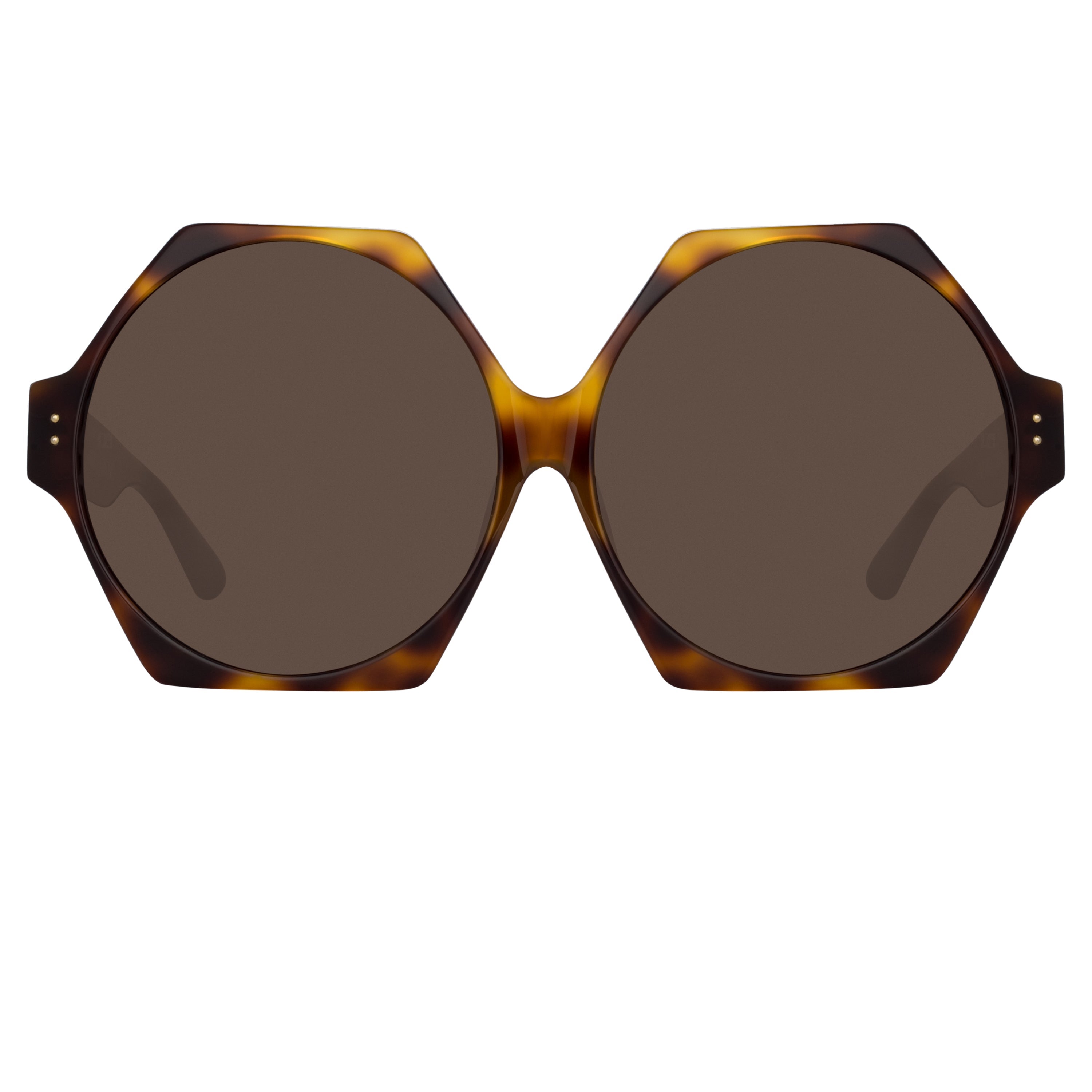 Color_LFL1260C2SUN - Bora Hexagon Sunglasses in Tortoiseshell