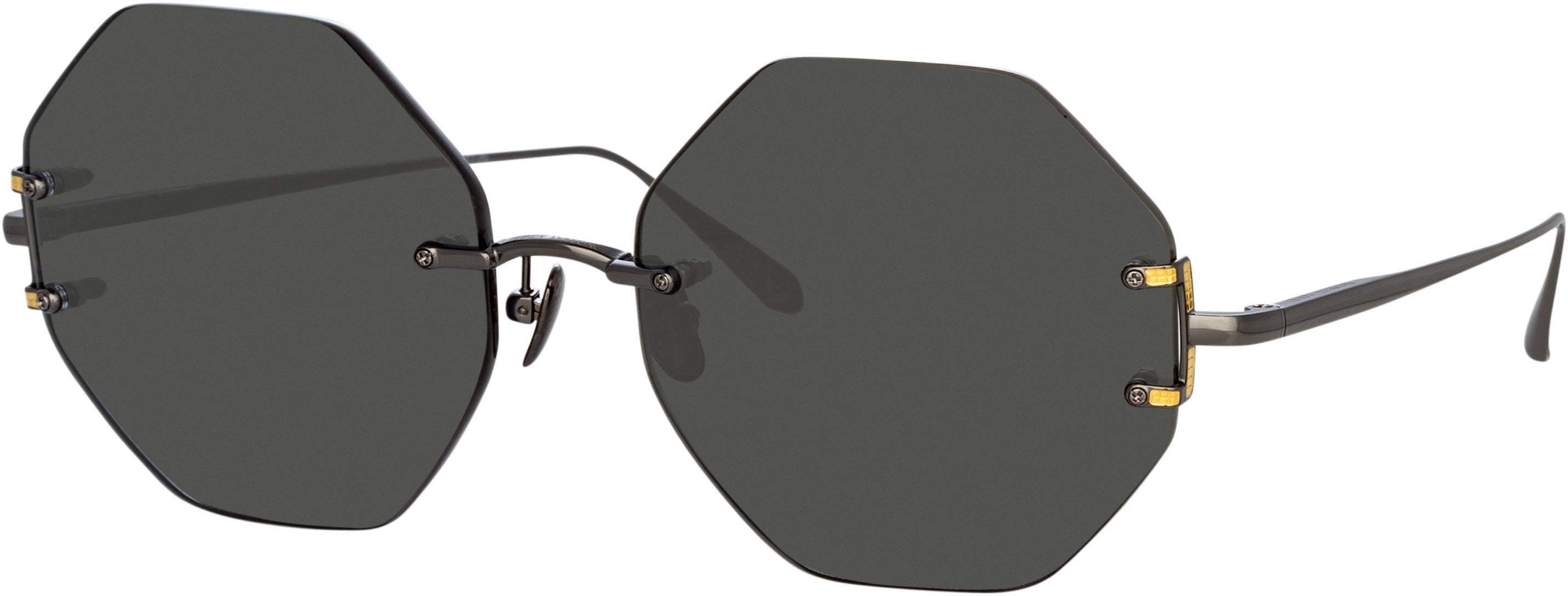 Color_LFL1267C4SUN - Arua Hexagon Sunglasses in Nickel