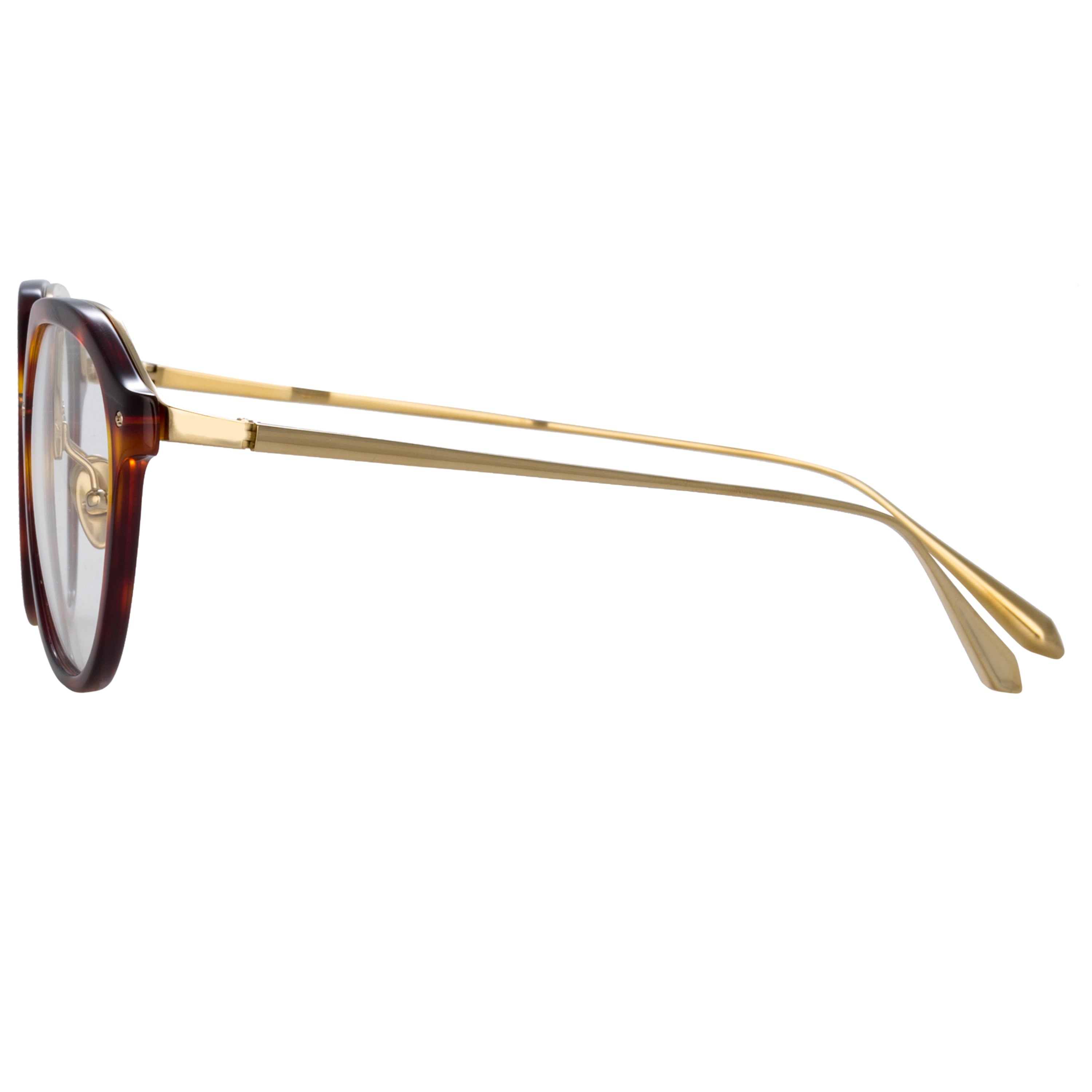Color_LFL1273C2OPT - Cacao Angular Sunglasses in Tortoiseshell