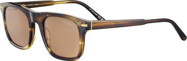 Color_SS576001 - Shiny Tortoise - Mineral Polarized Drivers Cat 2 to 3