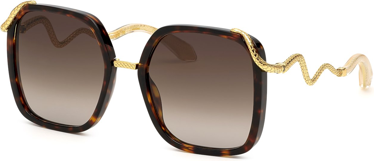 Roberto Cavalli SRC003M Sunglasses OnlyLens