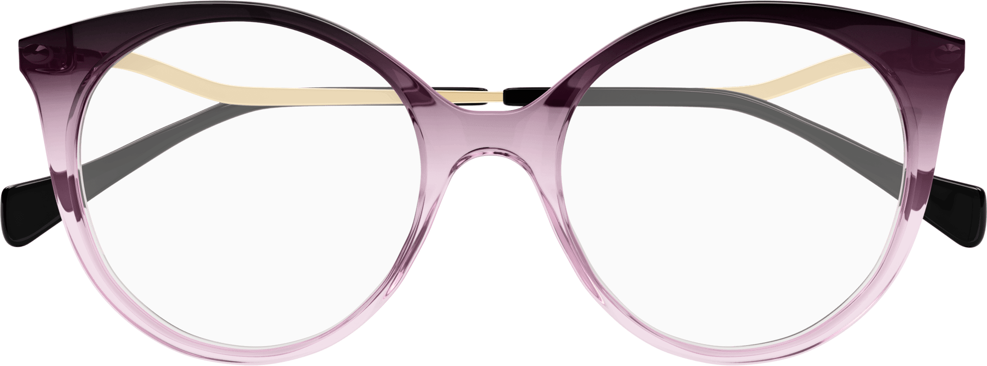 Color_Gucci Optical GG1009O