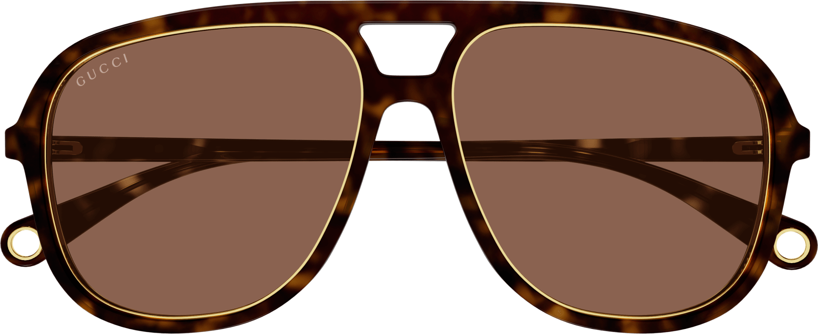 Color_GG1077S-004 - HAVANA - BROWN