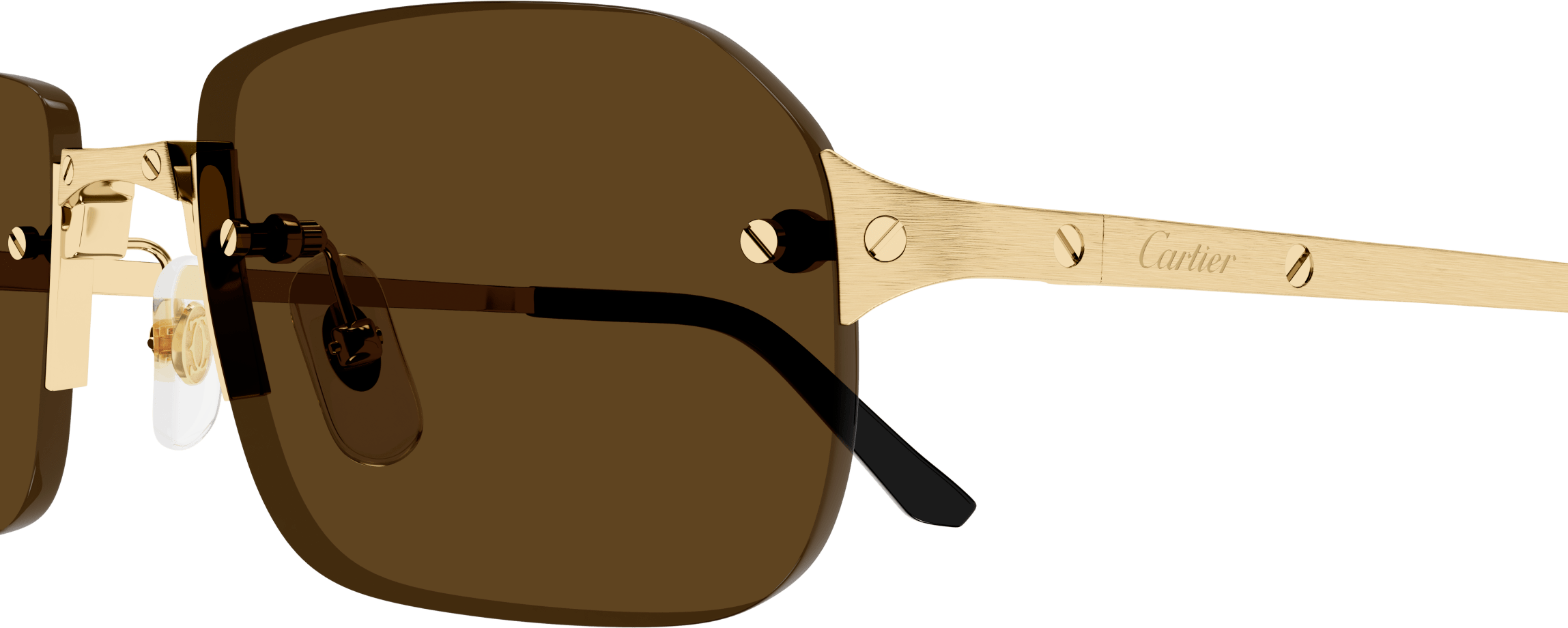 Color_CT0460S-002 - GOLD - BROWN - AR (ANTI REFLECTIVE)