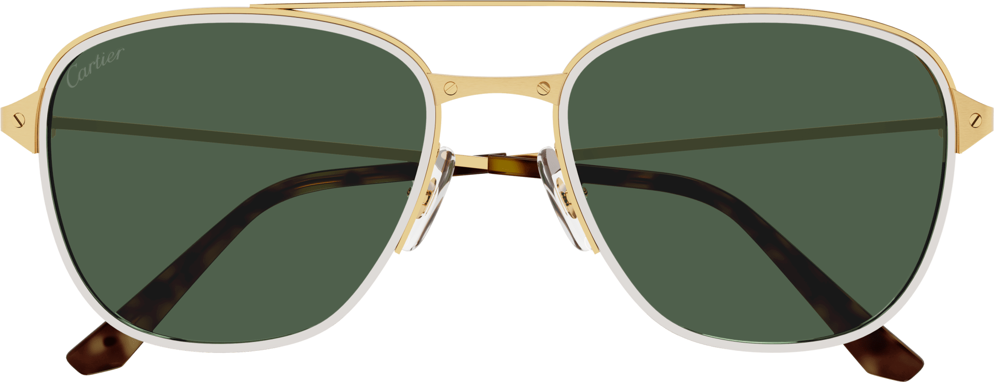 Color_CT0326S-002 - GOLD - GREEN - AR (ANTI REFLECTIVE) - POLARIZED