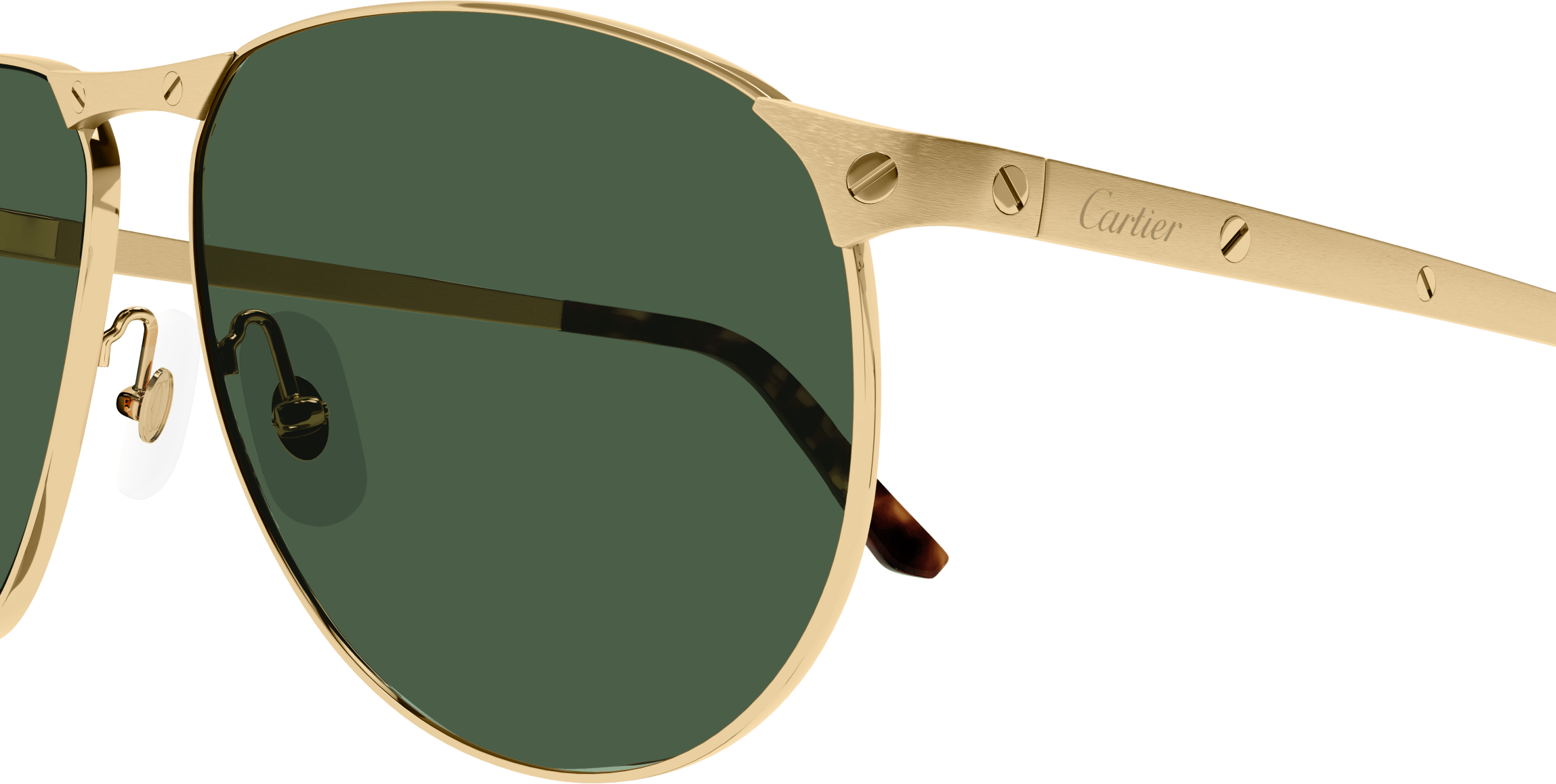 Color_CT0323S-002 - GOLD - GREEN - AR (ANTI REFLECTIVE) - POLARIZED