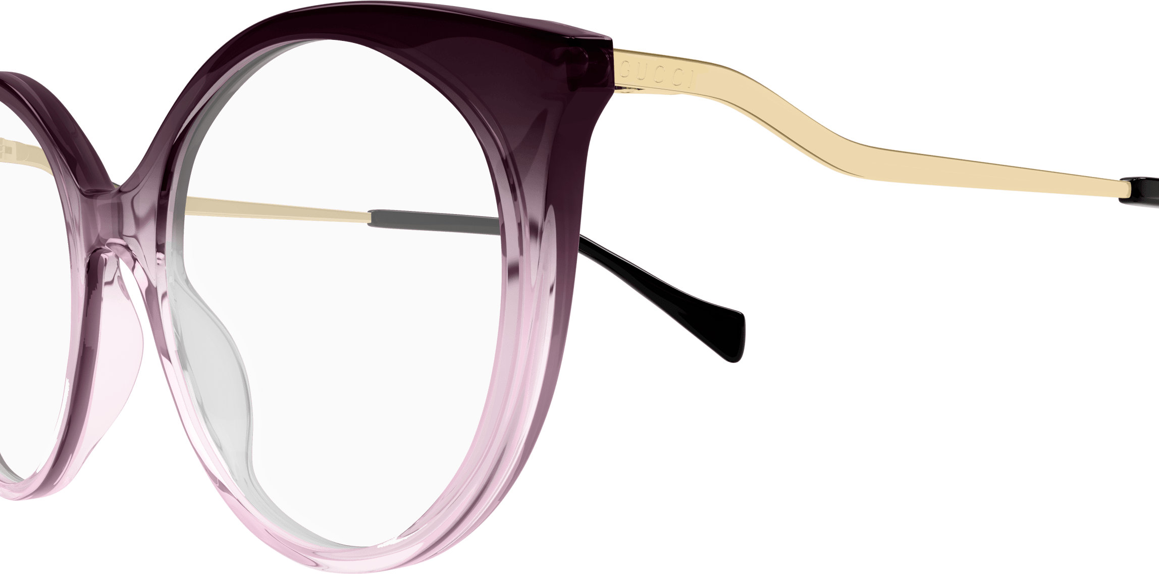 Color_Gucci Optical GG1009O