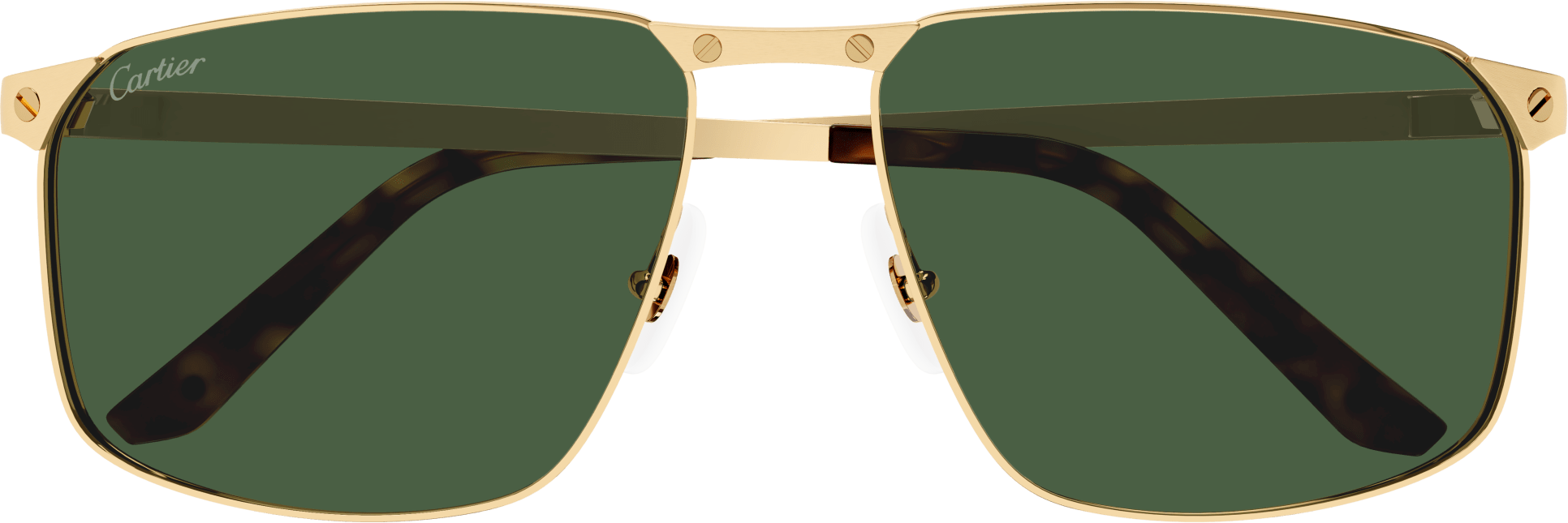 Color_CT0322S-002 - GOLD - GREEN - AR (ANTI REFLECTIVE) - POLARIZED