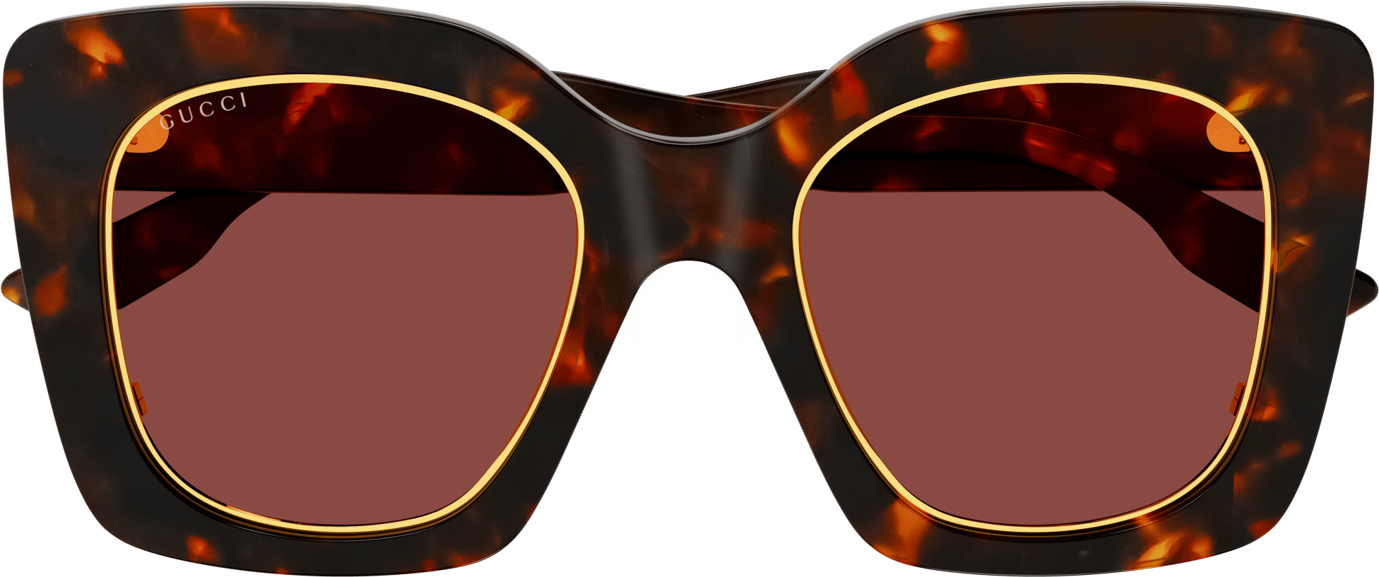 Color_GG1151S-003 - HAVANA - BROWN