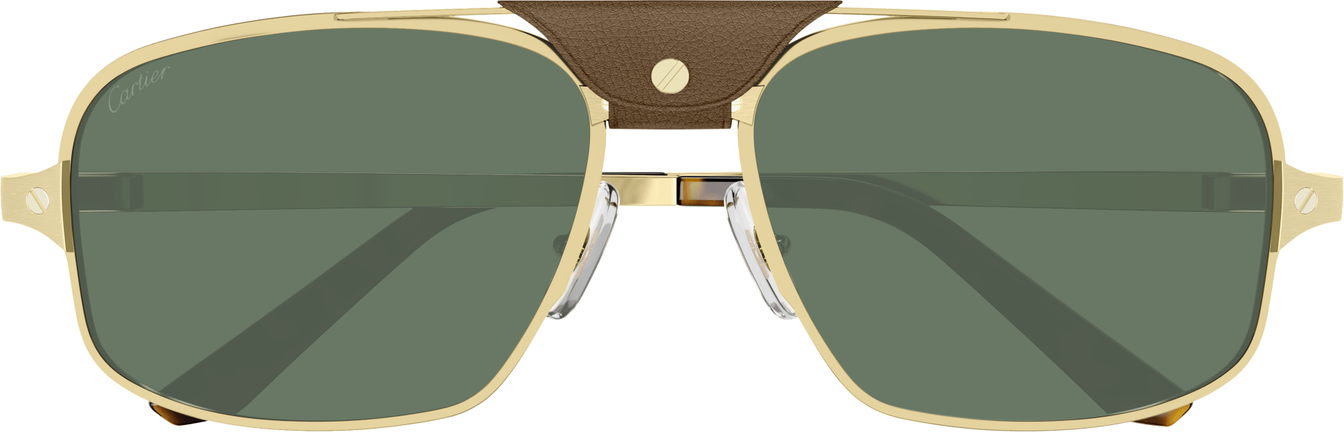Color_CT0295S-002 - GOLD - GREEN - AR (ANTI REFLECTIVE) - POLARIZED