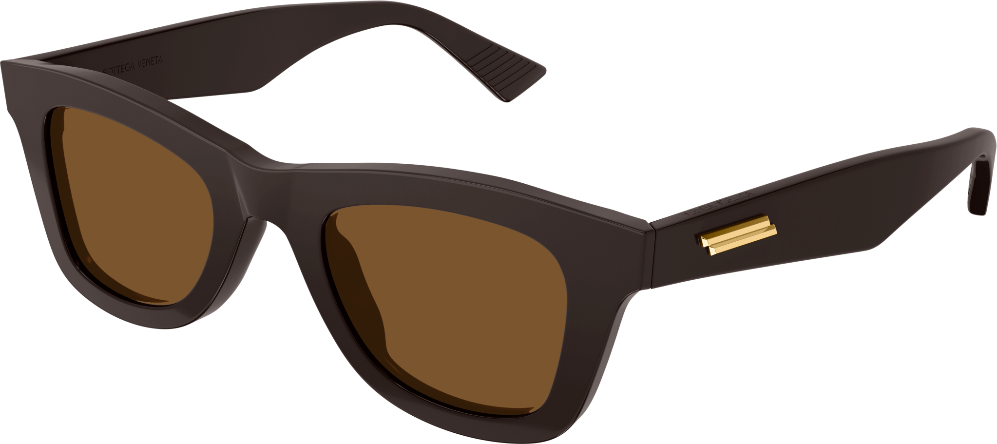 Color_BV1147S-003 - BROWN - BROWN