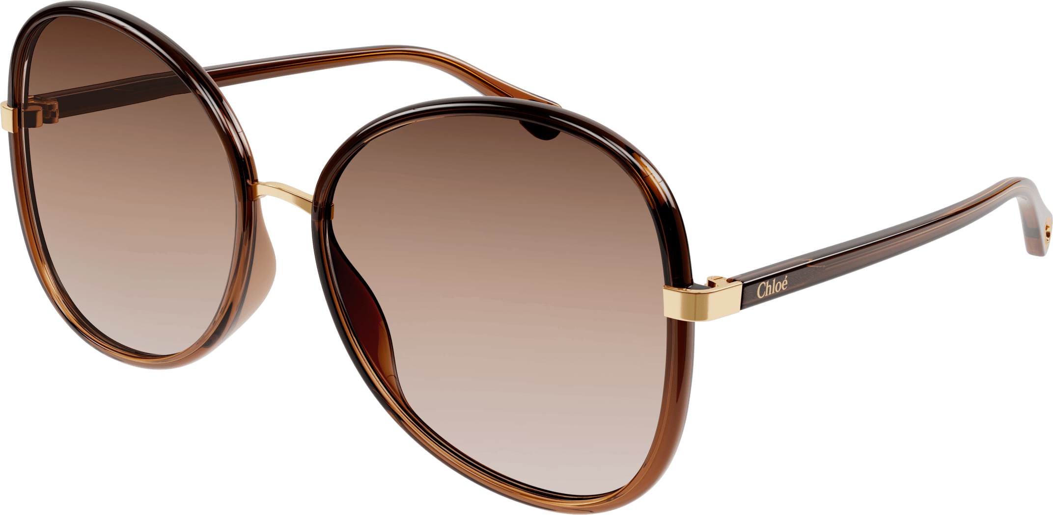 Color_CH0030S-005 - BROWN - BROWN - GRADIENT