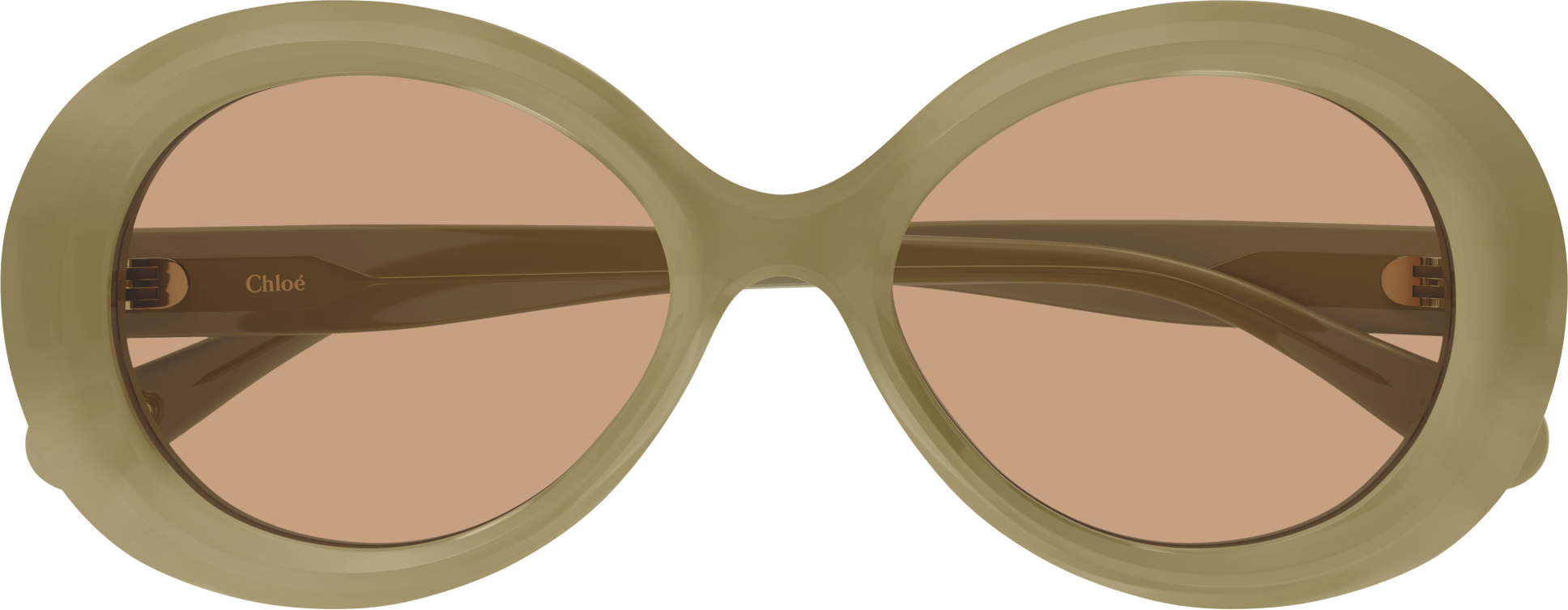 Color_CH0051S-002 - GREEN - BROWN - NONE
