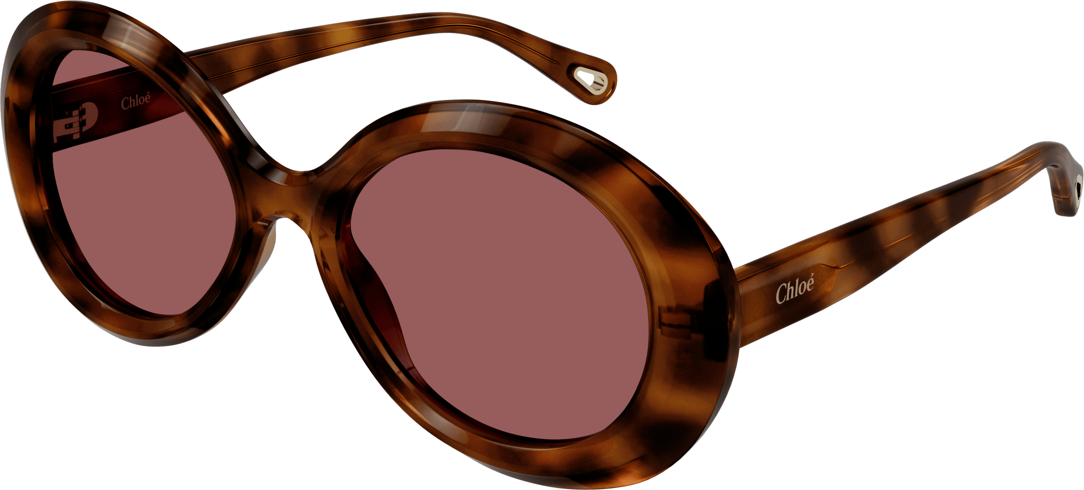 Color_CH0051S-005 - HAVANA - VIOLET - NONE