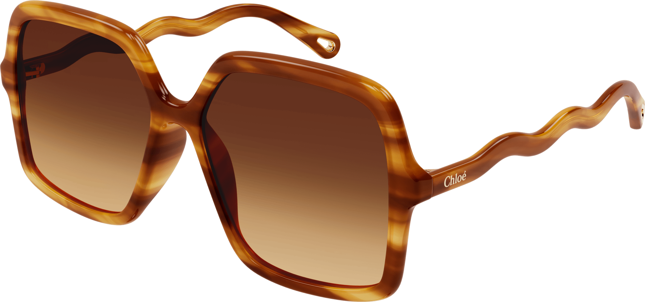 Color_CH0086SA-002 - HAVANA - BROWN - GRADIENT(DOUBLE)